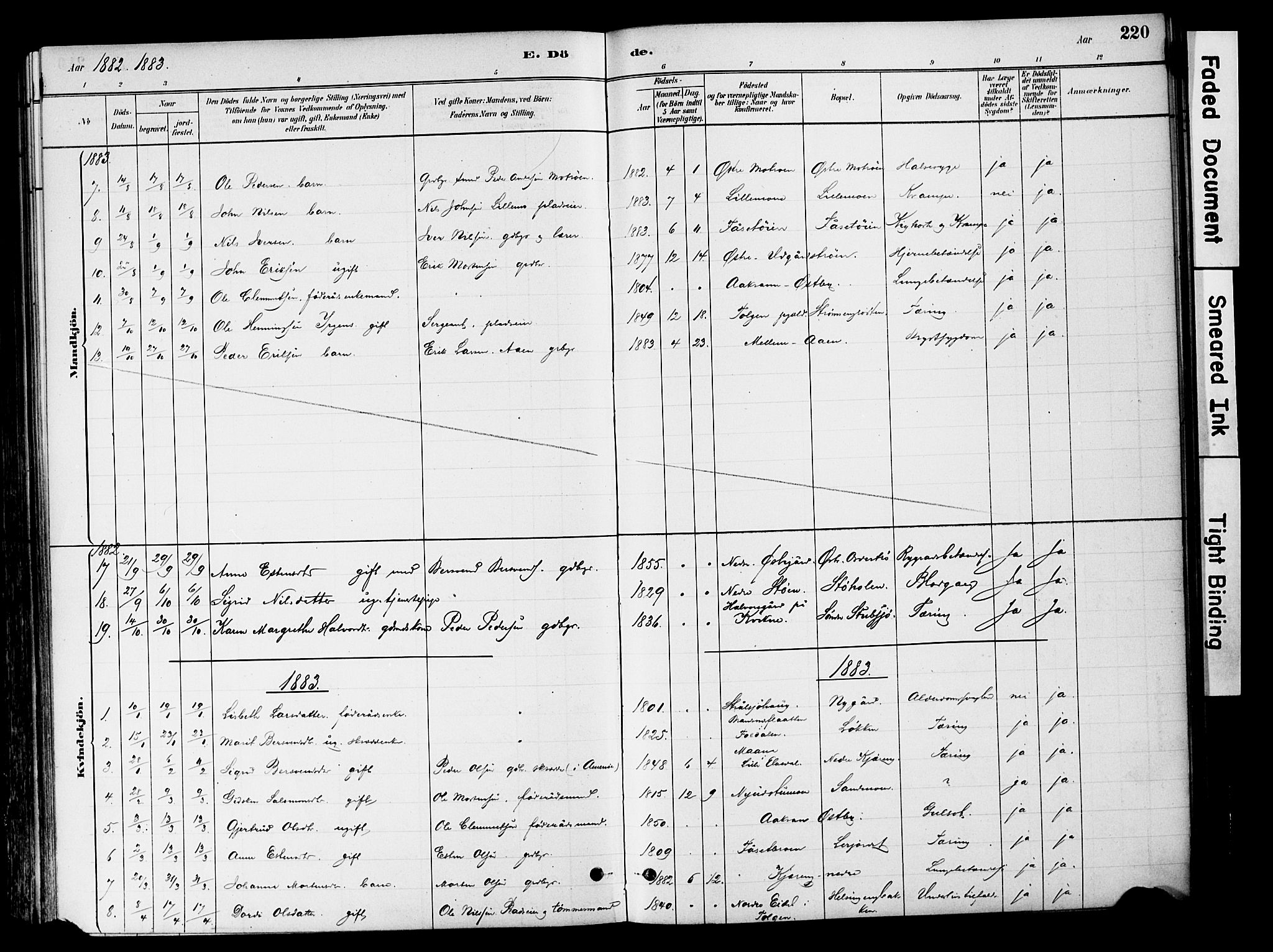 Tynset prestekontor, SAH/PREST-058/H/Ha/Haa/L0022: Ministerialbok nr. 22, 1880-1899, s. 220