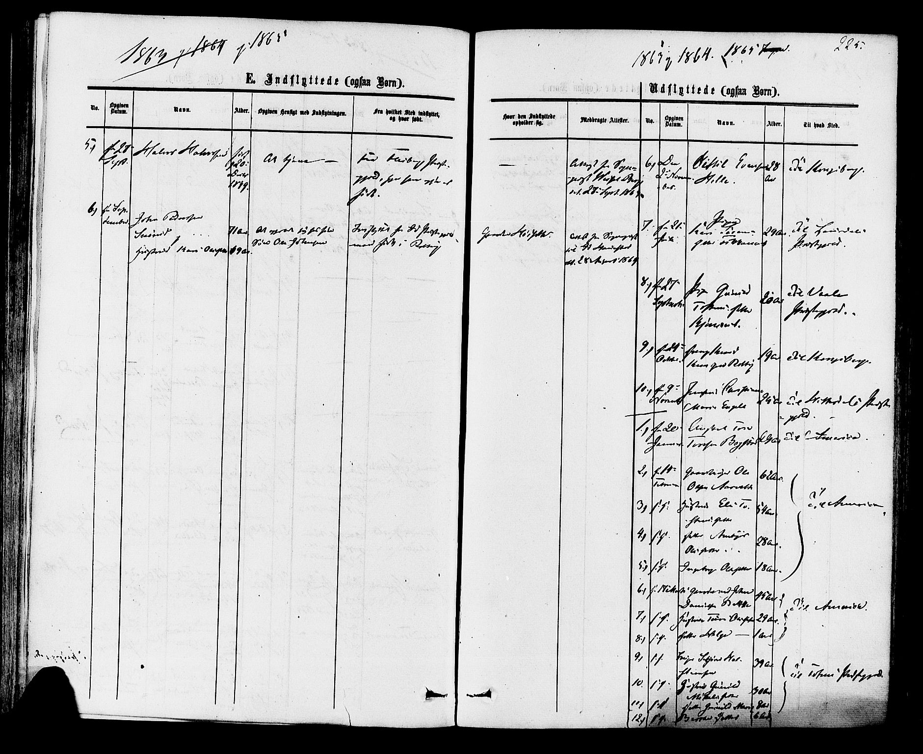 Rollag kirkebøker, AV/SAKO-A-240/F/Fa/L0009: Ministerialbok nr. I 9, 1860-1874, s. 225