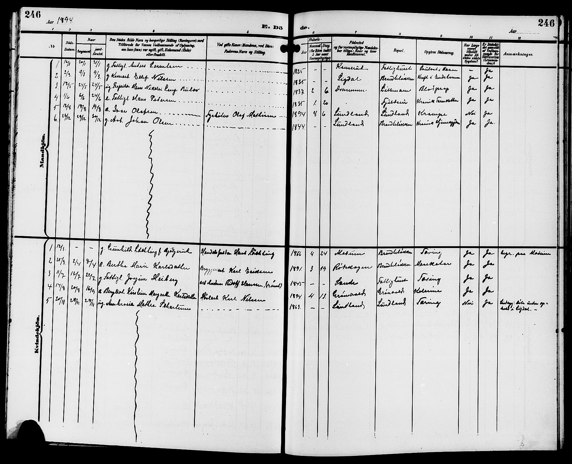 Strømsgodset kirkebøker, AV/SAKO-A-324/G/Ga/L0002: Klokkerbok nr. 2, 1885-1910, s. 246