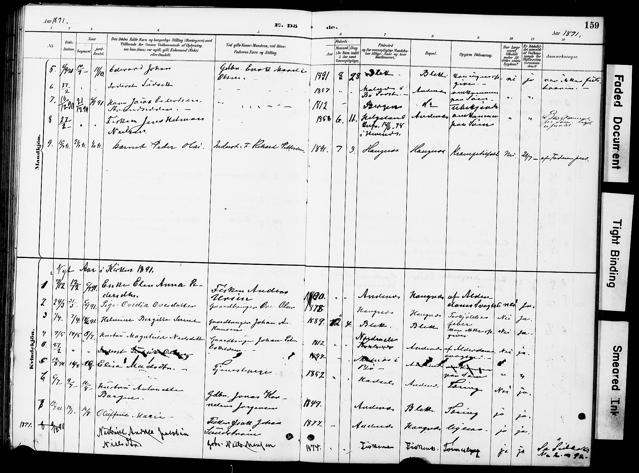Ministerialprotokoller, klokkerbøker og fødselsregistre - Nordland, SAT/A-1459/899/L1448: Klokkerbok nr. 899C03, 1887-1902, s. 159