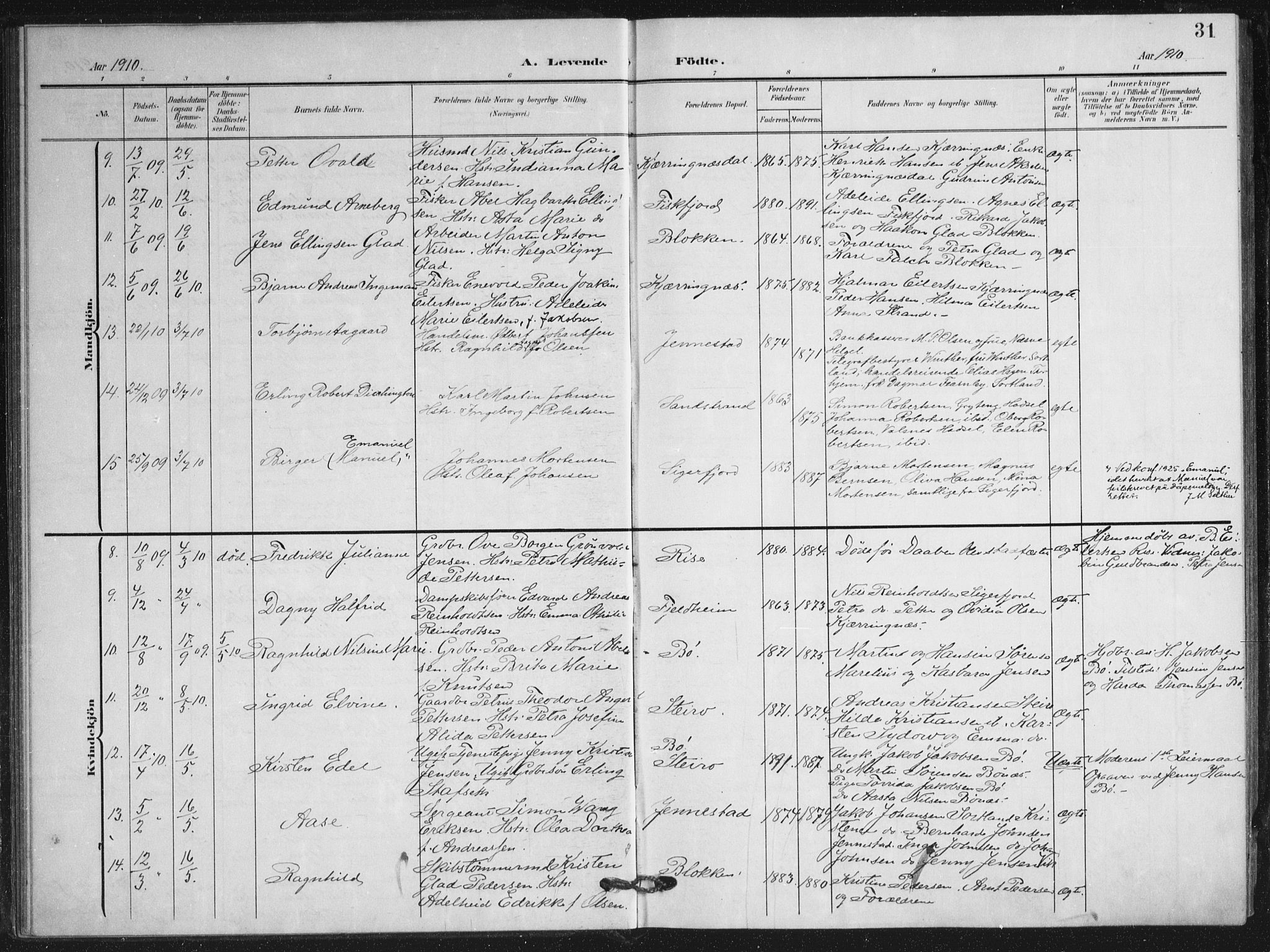 Ministerialprotokoller, klokkerbøker og fødselsregistre - Nordland, AV/SAT-A-1459/895/L1373: Ministerialbok nr. 895A08, 1905-1915, s. 31