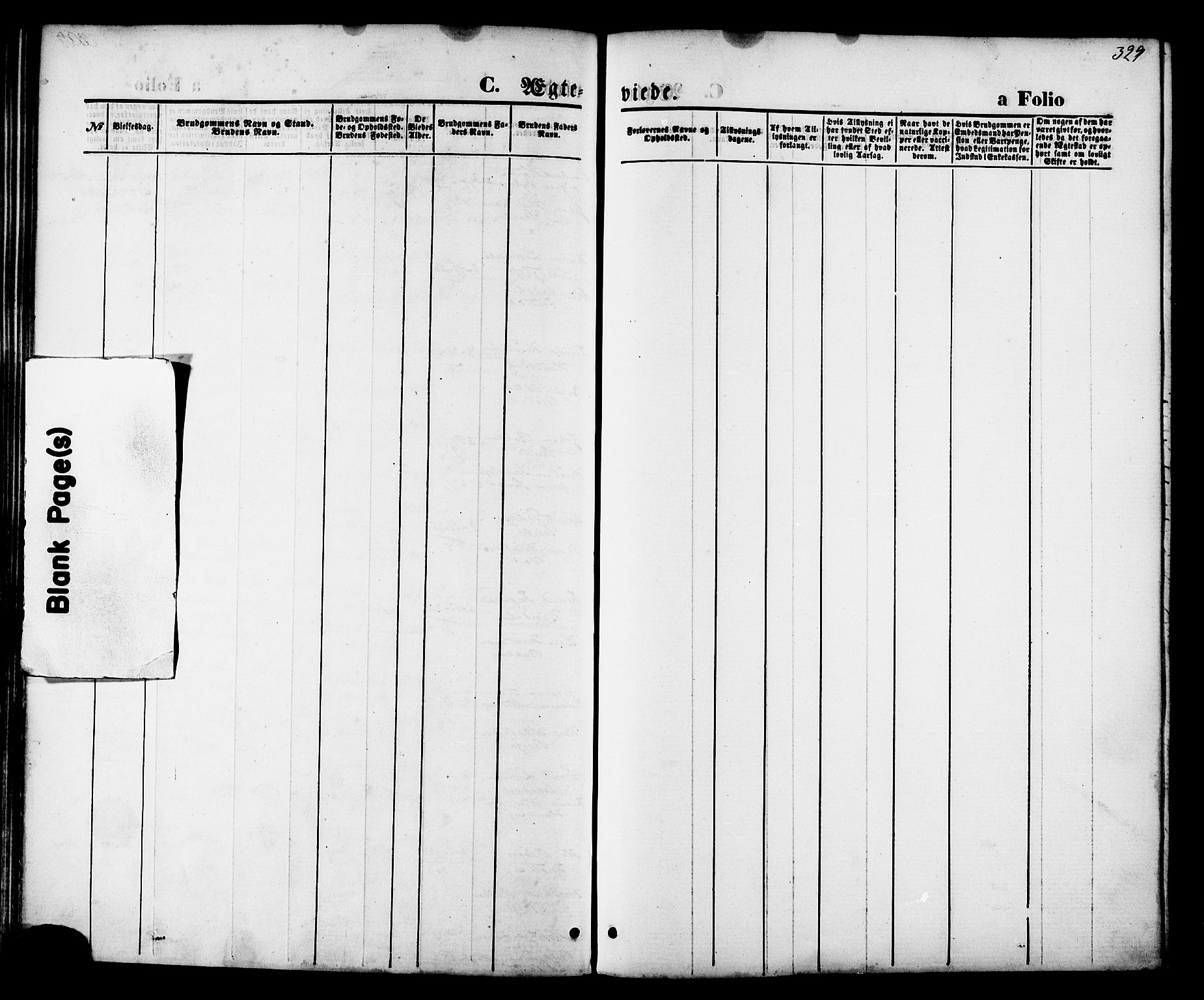 Ministerialprotokoller, klokkerbøker og fødselsregistre - Nordland, AV/SAT-A-1459/880/L1132: Ministerialbok nr. 880A06, 1869-1887, s. 329