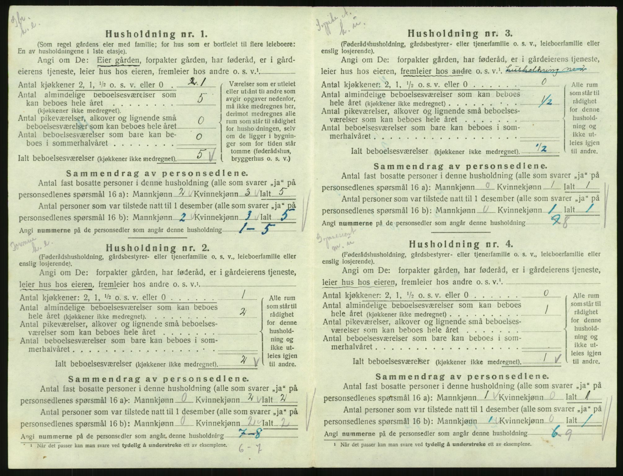 SAK, Folketelling 1920 for 0936 Hornnes herred, 1920, s. 192