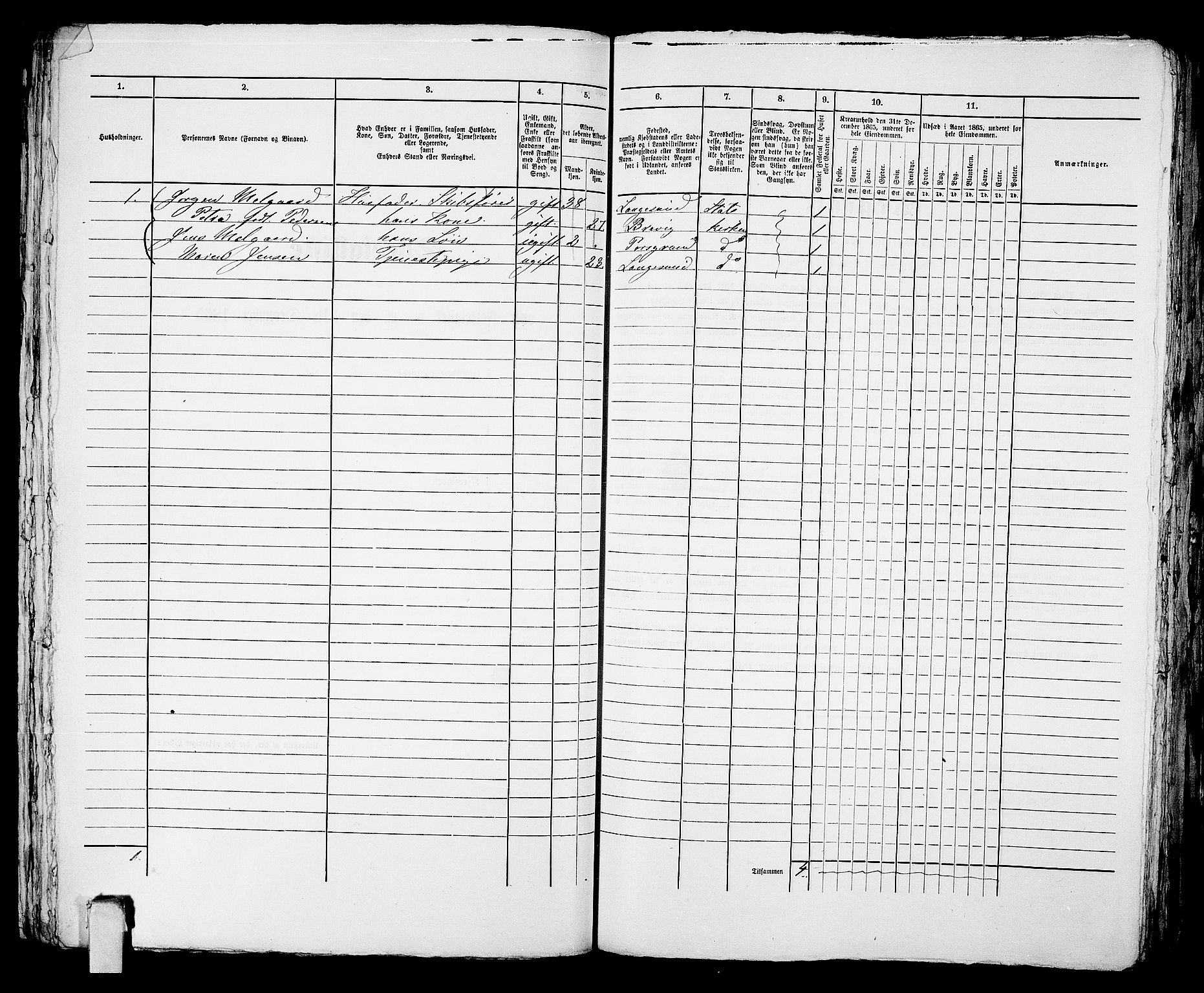 RA, Folketelling 1865 for 0805P Porsgrunn prestegjeld, 1865, s. 617