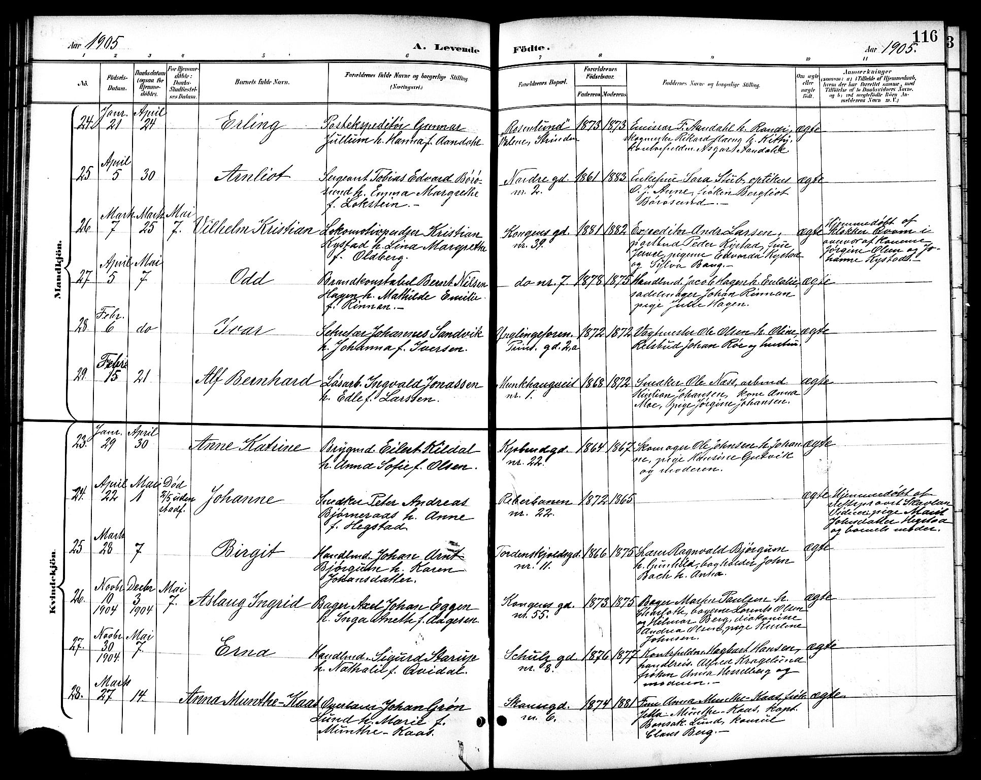 Ministerialprotokoller, klokkerbøker og fødselsregistre - Sør-Trøndelag, AV/SAT-A-1456/601/L0094: Klokkerbok nr. 601C12, 1898-1911, s. 116