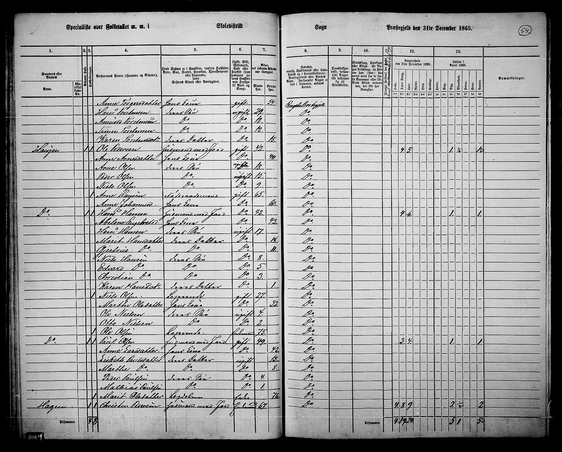 RA, Folketelling 1865 for 0520P Ringebu prestegjeld, 1865, s. 45