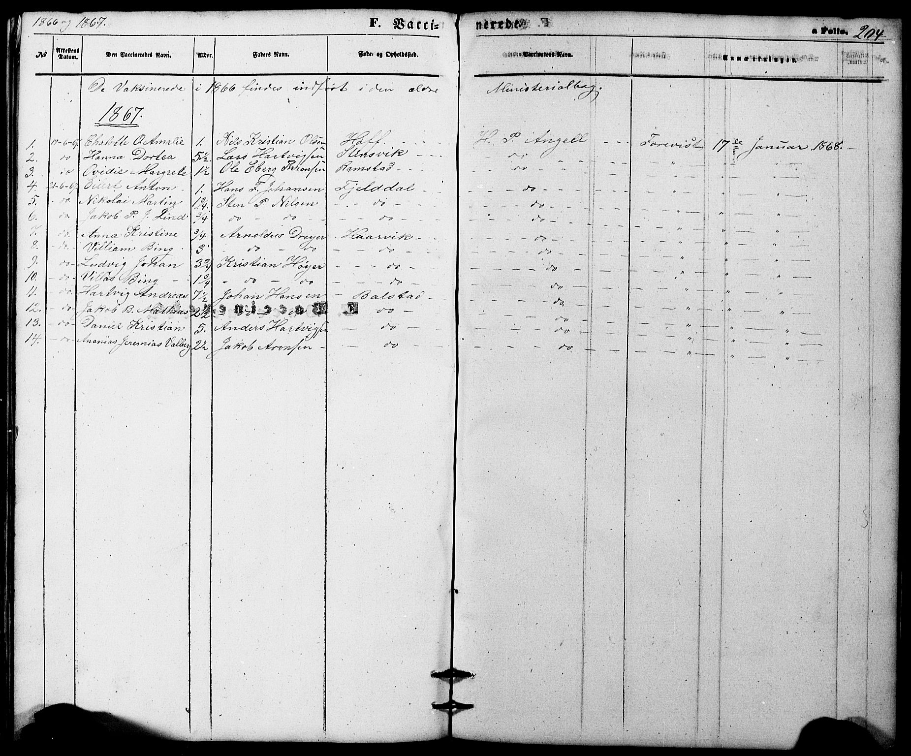 Ministerialprotokoller, klokkerbøker og fødselsregistre - Nordland, AV/SAT-A-1459/865/L0930: Klokkerbok nr. 865C02, 1866-1884, s. 204