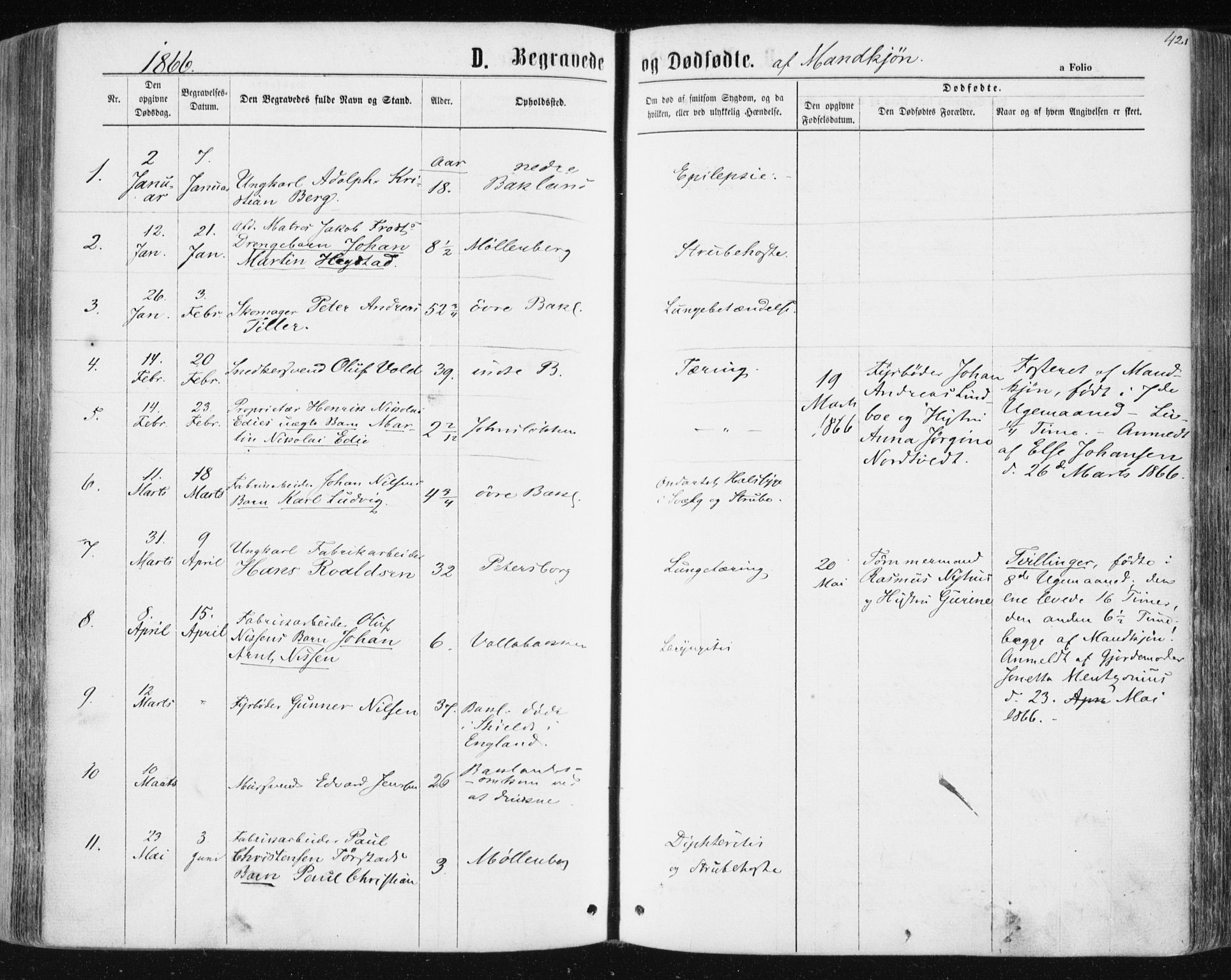 Ministerialprotokoller, klokkerbøker og fødselsregistre - Sør-Trøndelag, AV/SAT-A-1456/604/L0186: Ministerialbok nr. 604A07, 1866-1877, s. 421