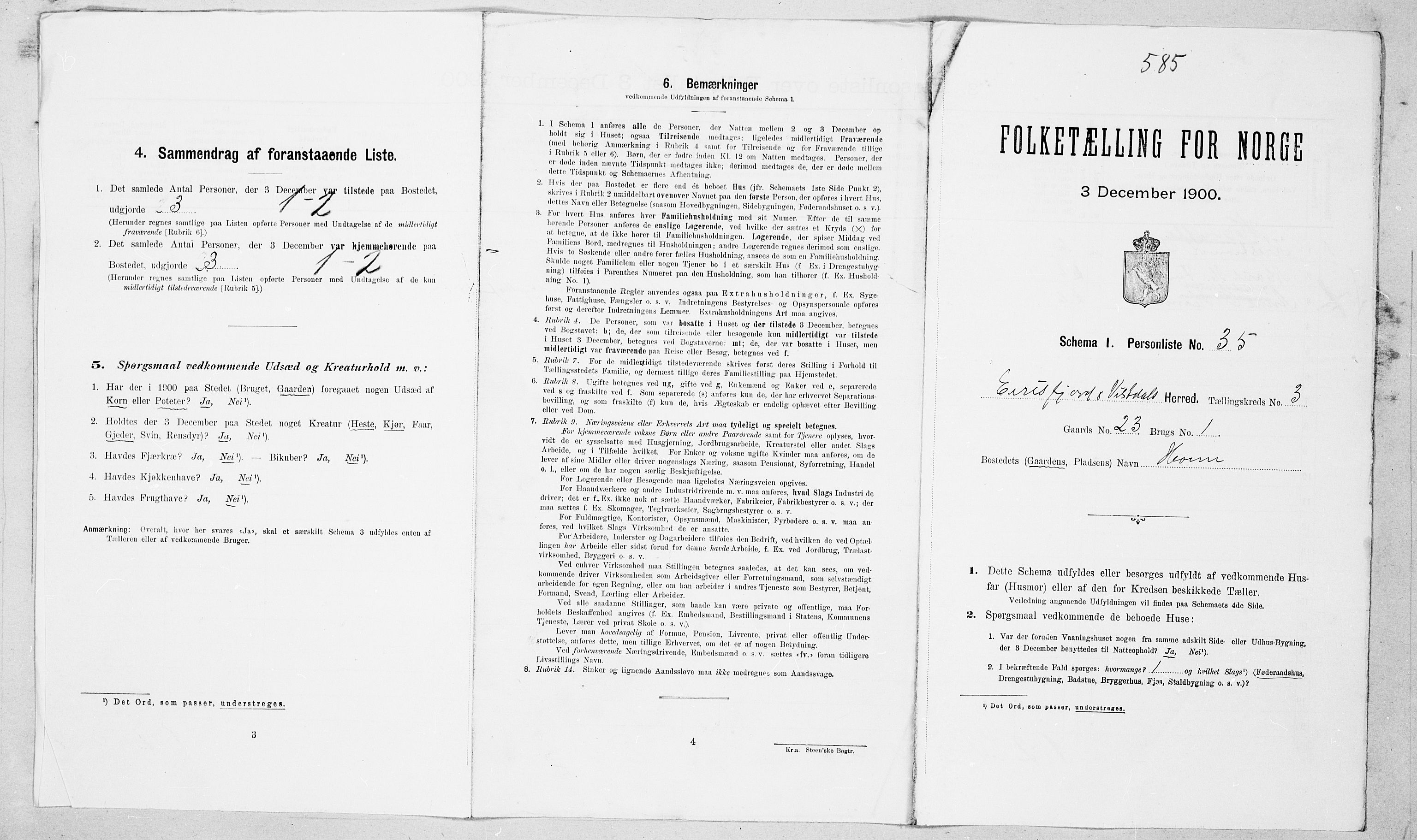 SAT, Folketelling 1900 for 1542 Eresfjord og Vistdal herred, 1900, s. 265
