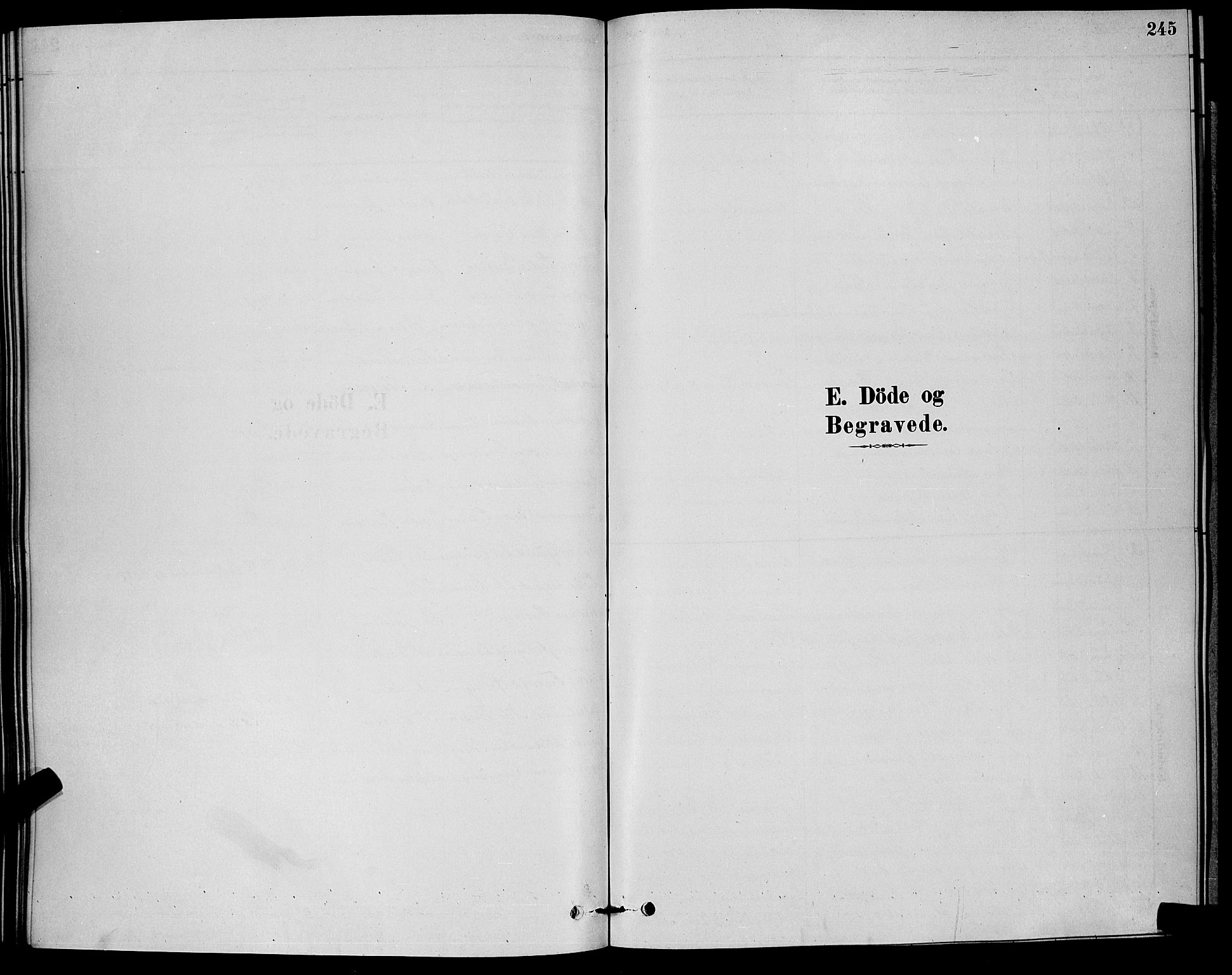 Horten kirkebøker, SAKO/A-348/G/Ga/L0003: Klokkerbok nr. 4, 1878-1887, s. 245