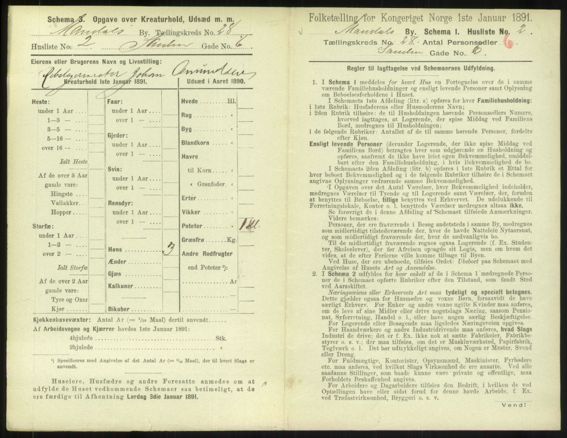 RA, Folketelling 1891 for 1002 Mandal ladested, 1891, s. 1247