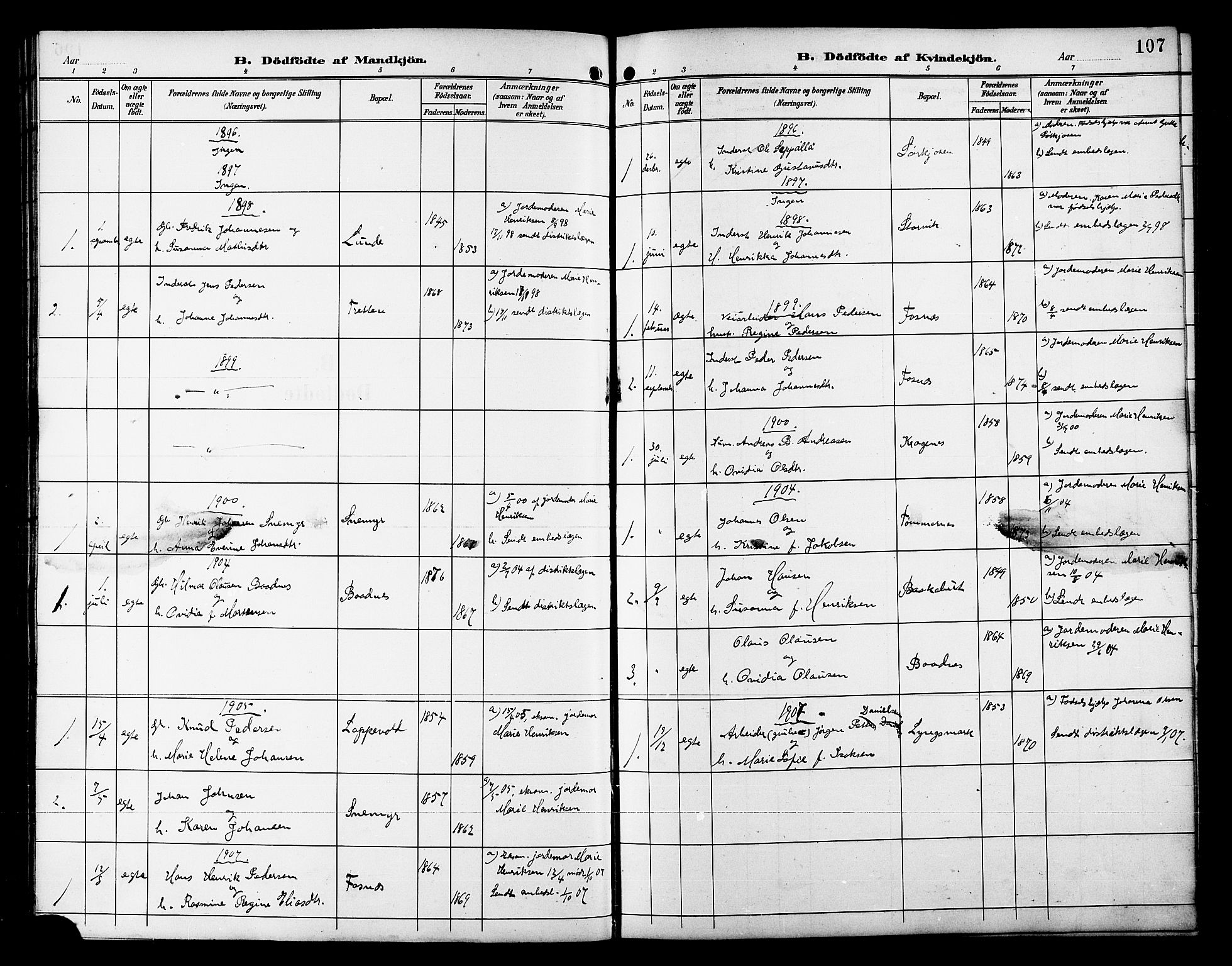 Skjervøy sokneprestkontor, AV/SATØ-S-1300/H/Ha/Hab/L0021klokker: Klokkerbok nr. 21, 1893-1910, s. 107