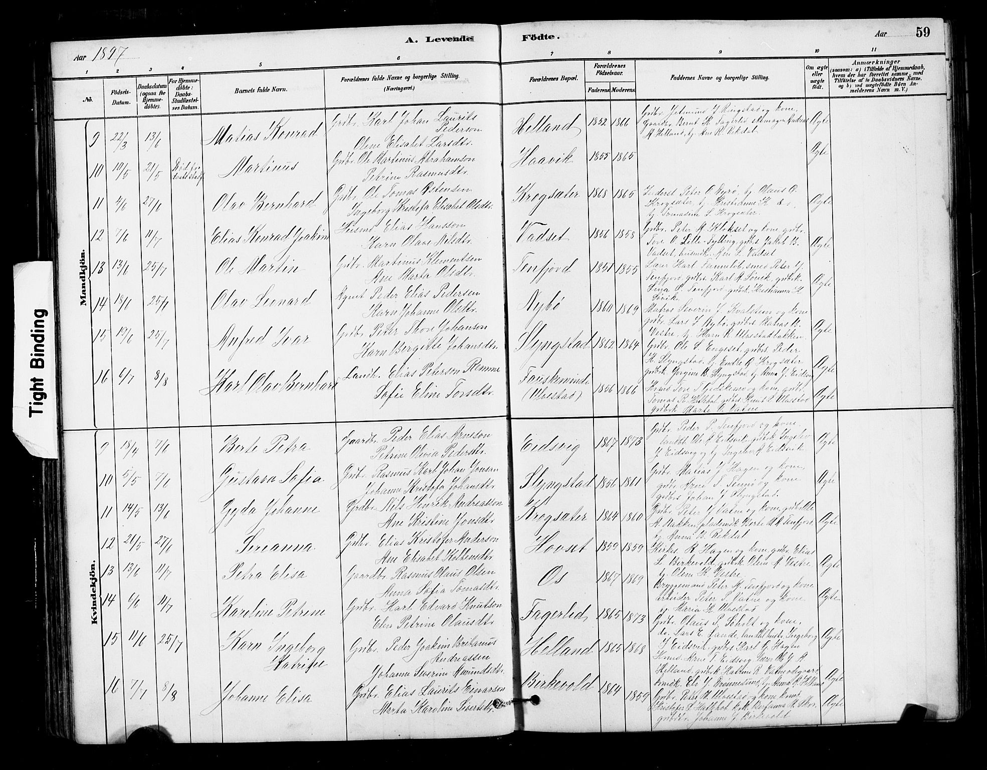 Ministerialprotokoller, klokkerbøker og fødselsregistre - Møre og Romsdal, AV/SAT-A-1454/525/L0376: Klokkerbok nr. 525C02, 1880-1902, s. 59