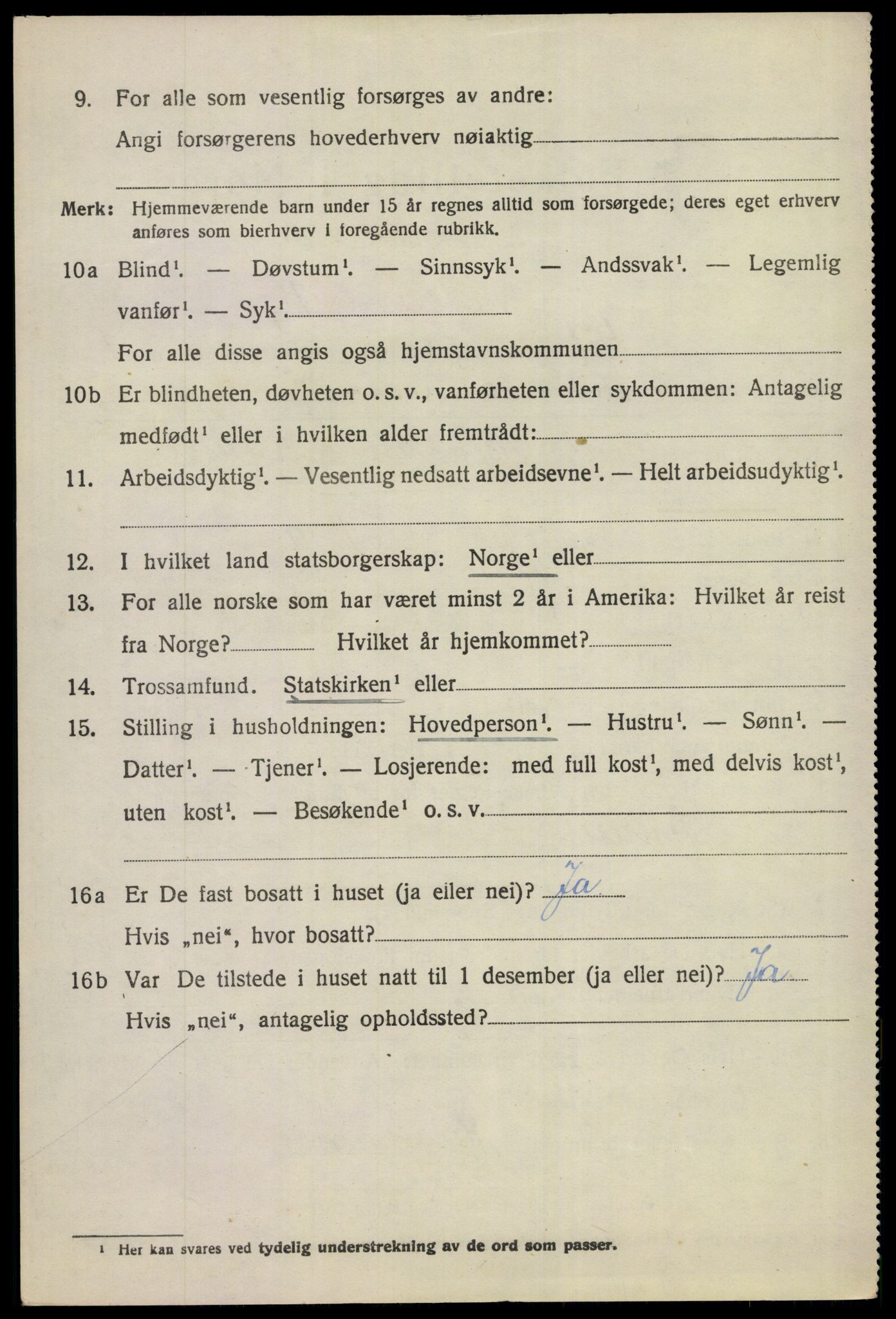 SAKO, Folketelling 1920 for 0617 Gol herred, 1920, s. 1207