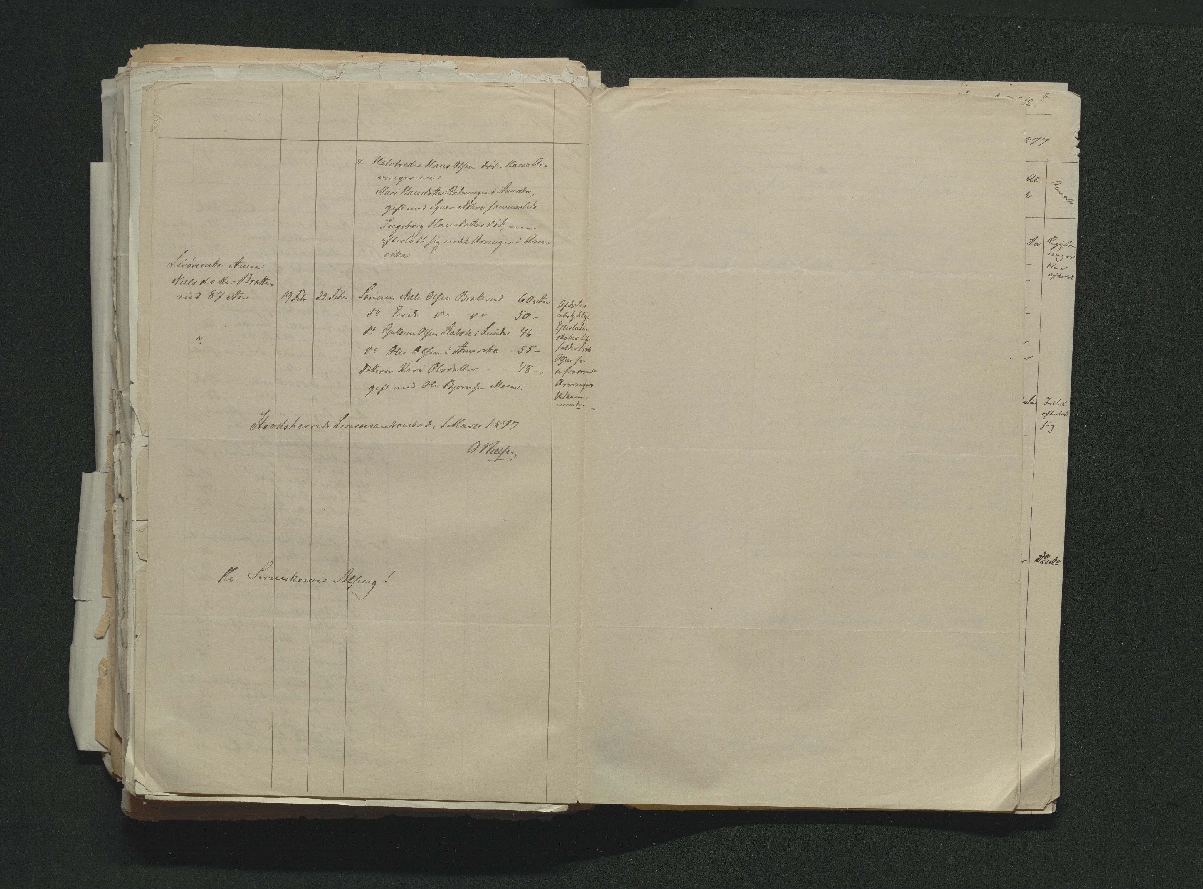 Eiker, Modum og Sigdal sorenskriveri, AV/SAKO-A-123/H/Ha/Hab/L0014: Dødsfallsmeldinger, 1874-1877, s. 733