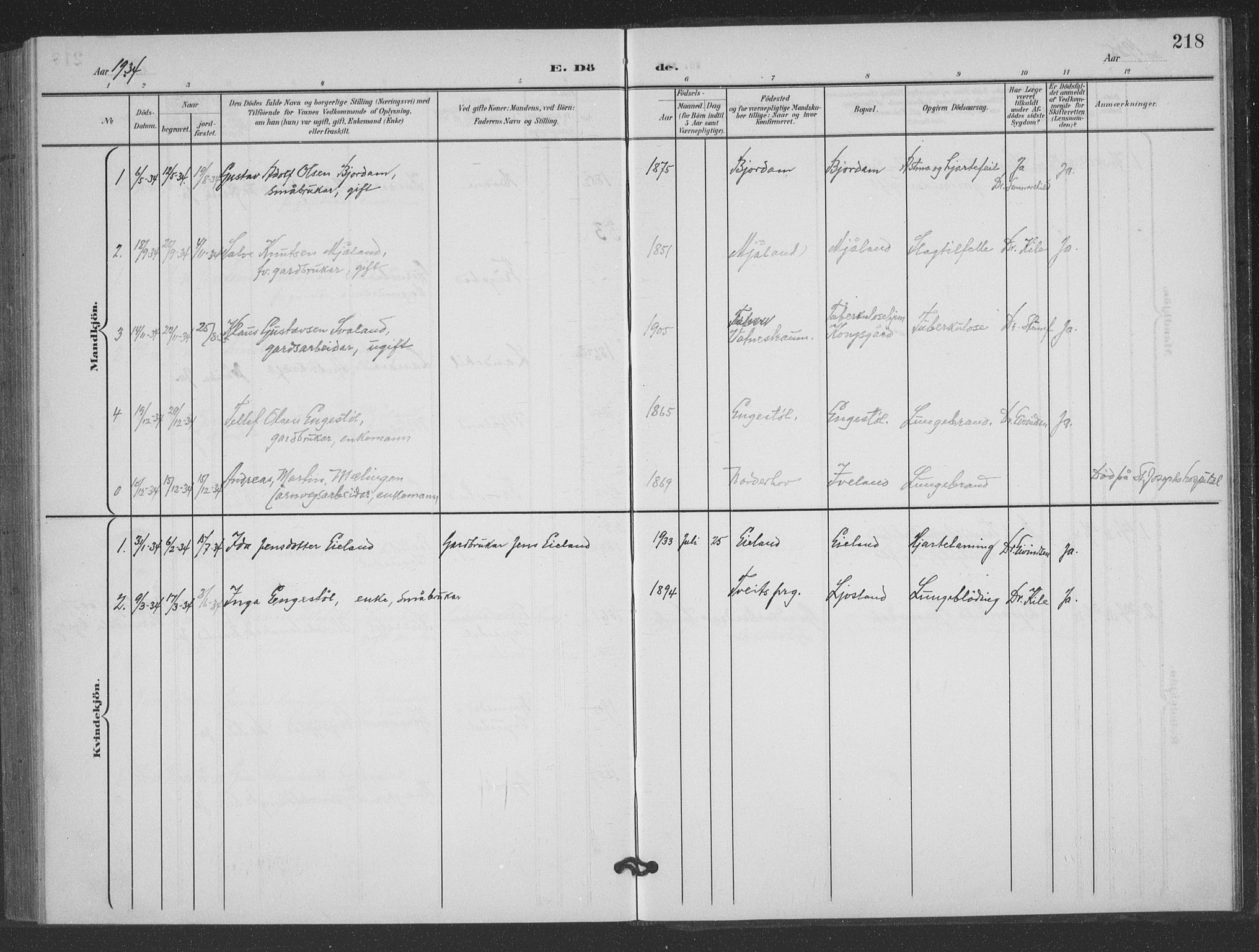 Evje sokneprestkontor, AV/SAK-1111-0008/F/Fb/Fbc/L0005: Klokkerbok nr. B 5, 1901-1935, s. 218