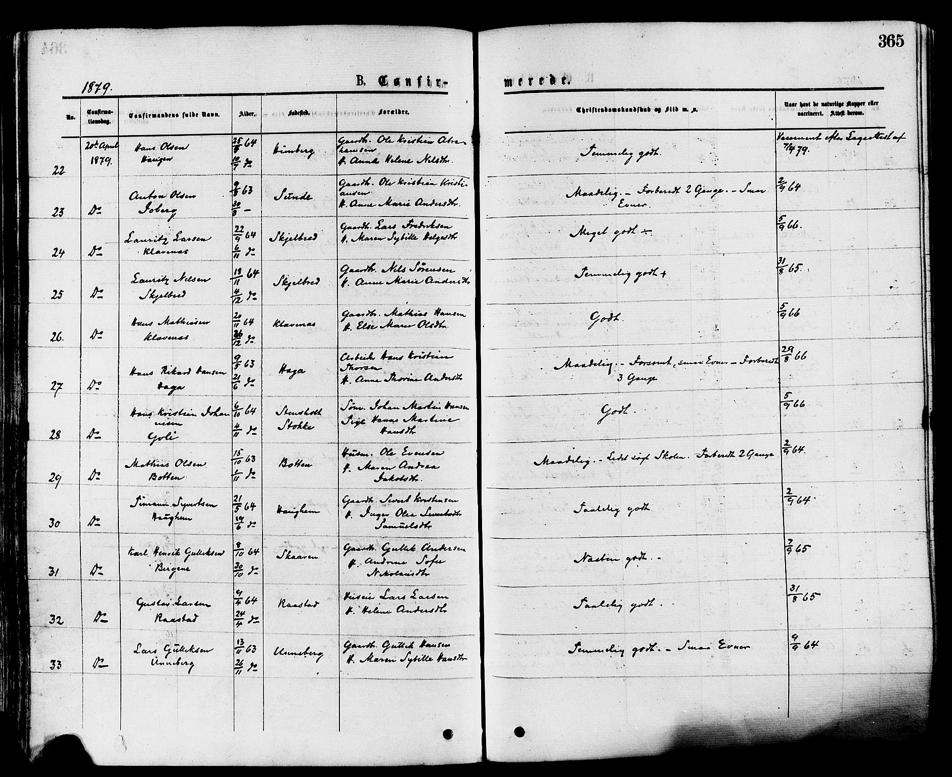 Sandar kirkebøker, AV/SAKO-A-243/F/Fa/L0010: Ministerialbok nr. 10, 1872-1882, s. 365