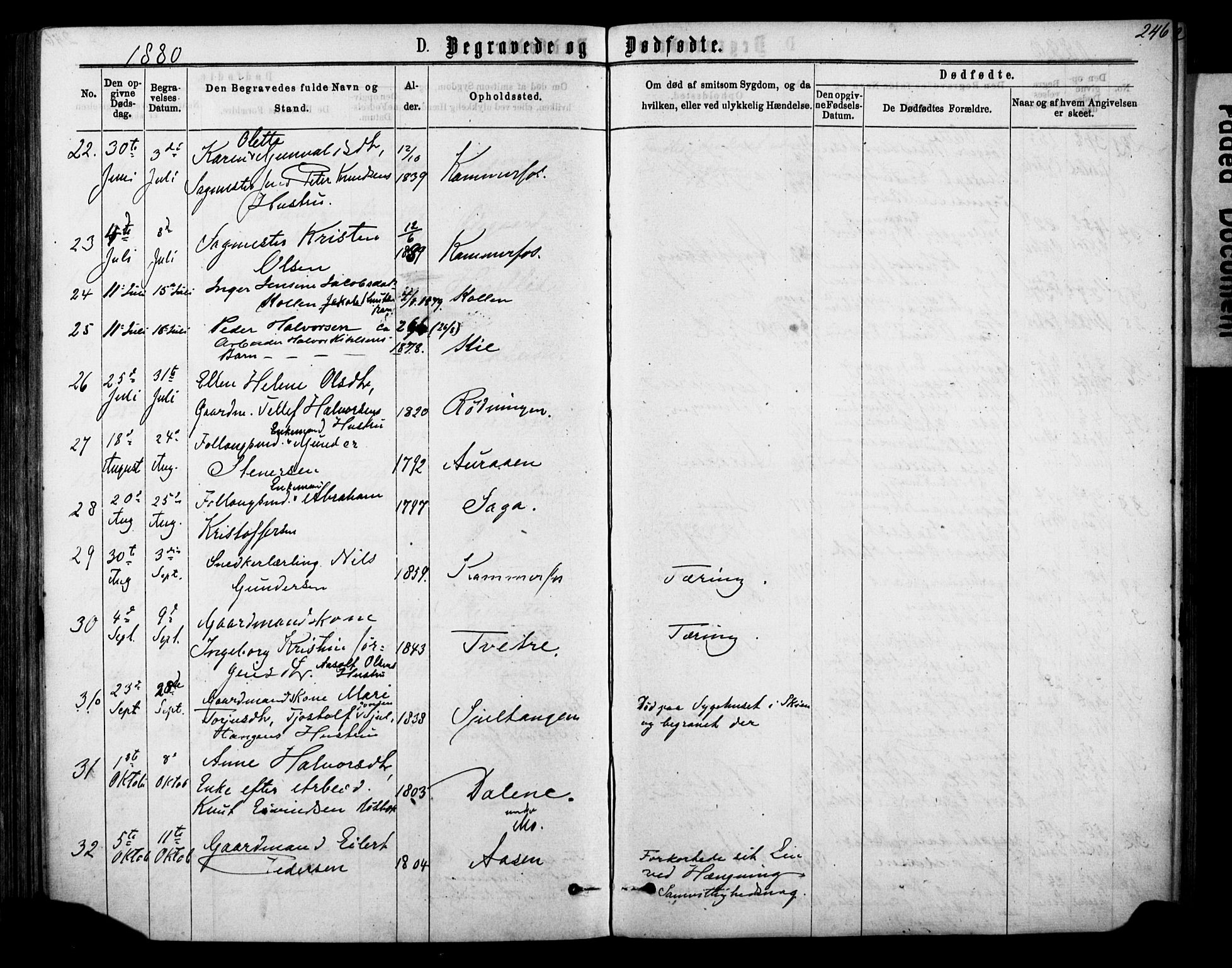 Sannidal kirkebøker, AV/SAKO-A-296/F/Fa/L0014: Ministerialbok nr. 14, 1874-1883, s. 246