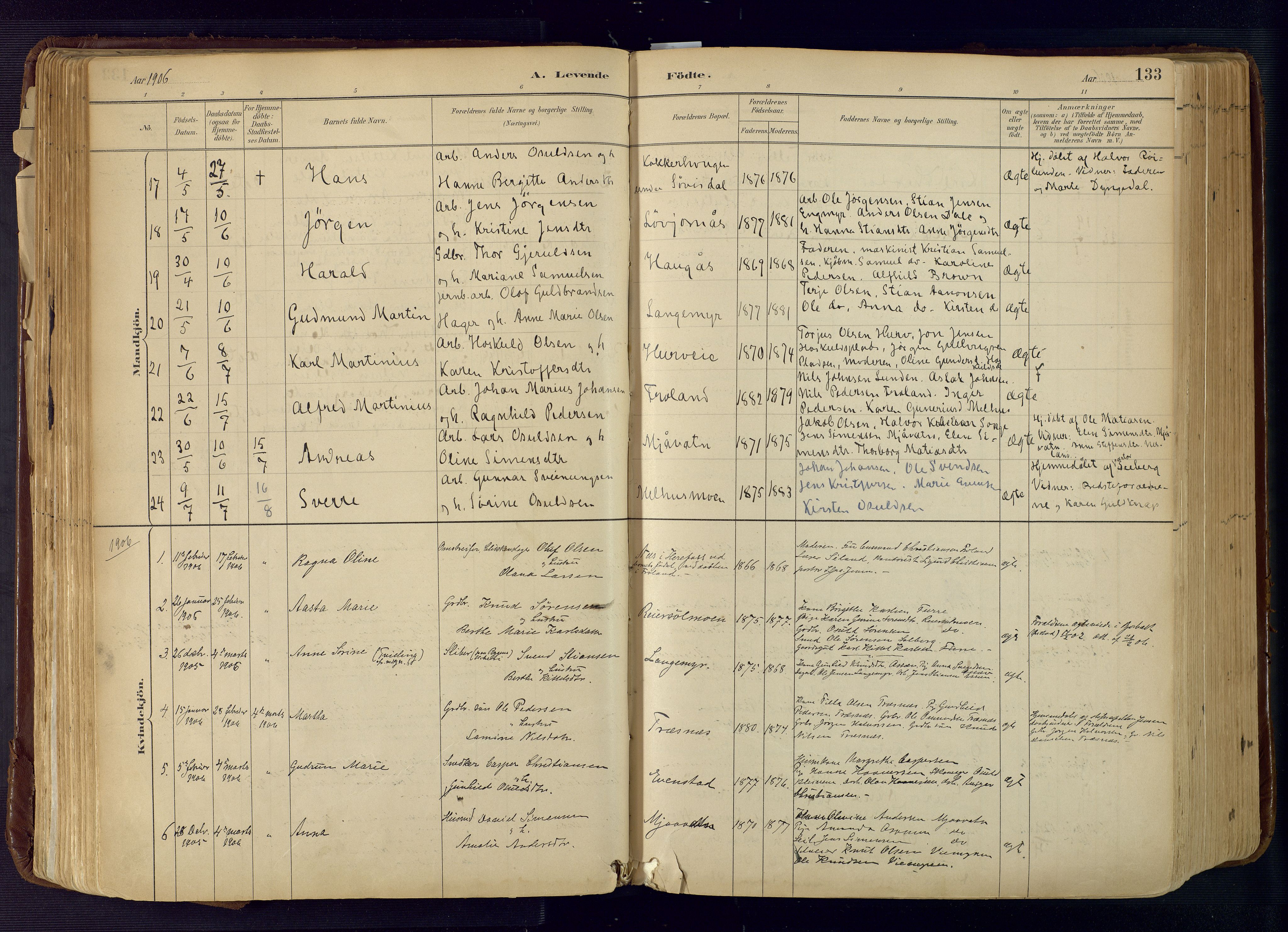 Froland sokneprestkontor, AV/SAK-1111-0013/F/Fa/L0005: Ministerialbok nr. A 5, 1882-1921, s. 133
