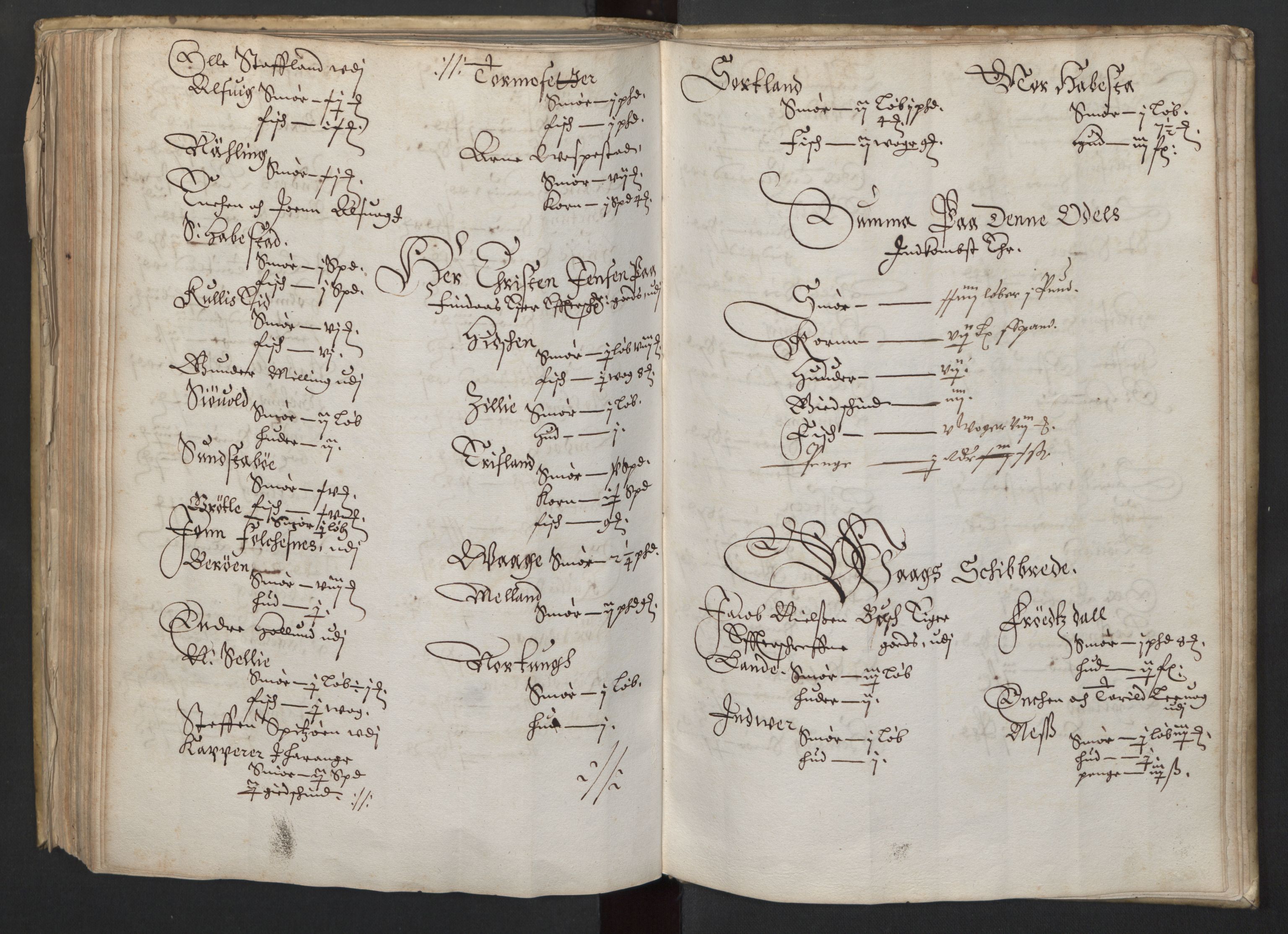 Rentekammeret inntil 1814, Realistisk ordnet avdeling, AV/RA-EA-4070/L/L0026/0005: Bergen lagdømme: / Jordebok over geistlighetens, borgernes og bøndenes odels- og pantegods., 1661