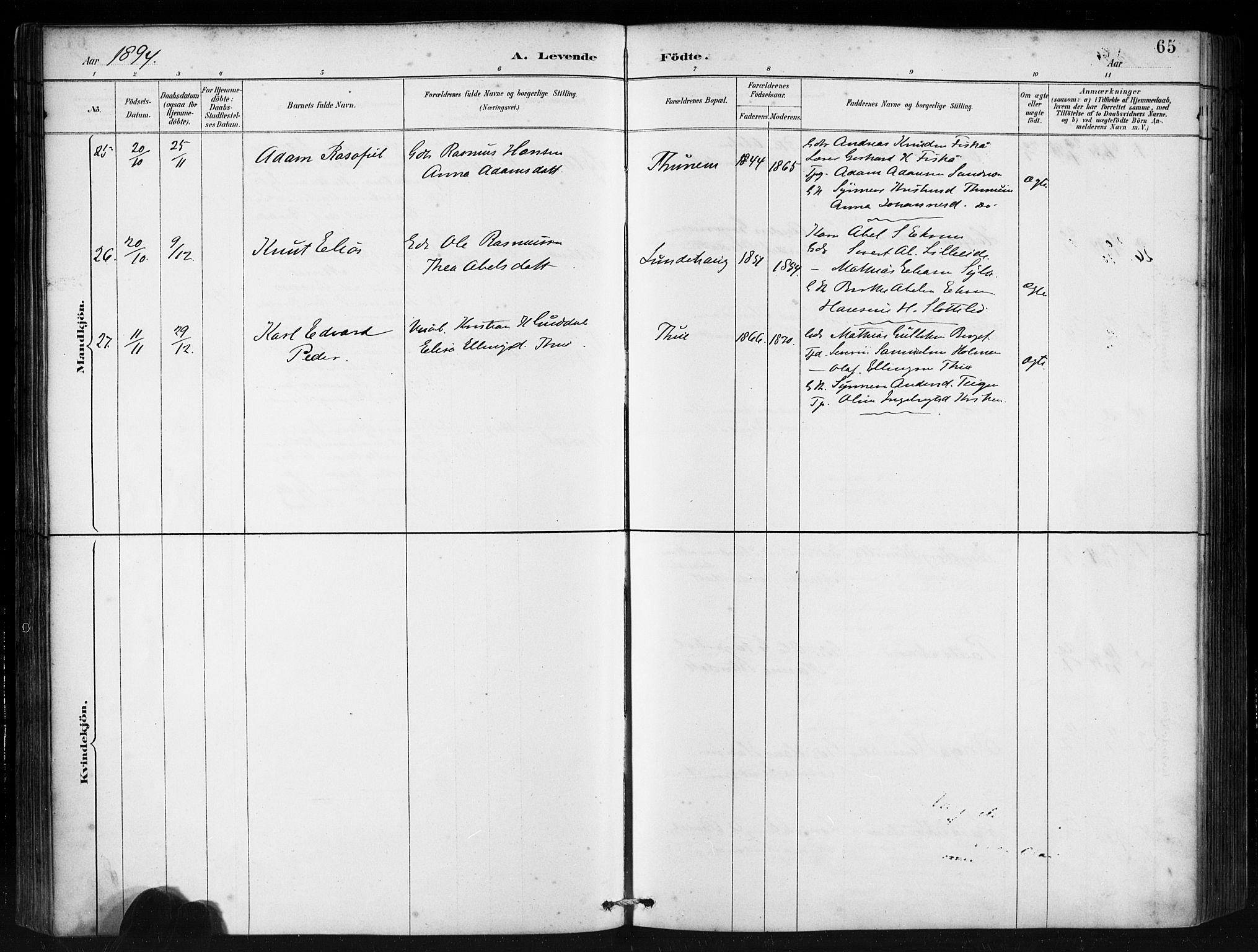 Ministerialprotokoller, klokkerbøker og fødselsregistre - Møre og Romsdal, AV/SAT-A-1454/501/L0008: Ministerialbok nr. 501A08, 1885-1901, s. 65