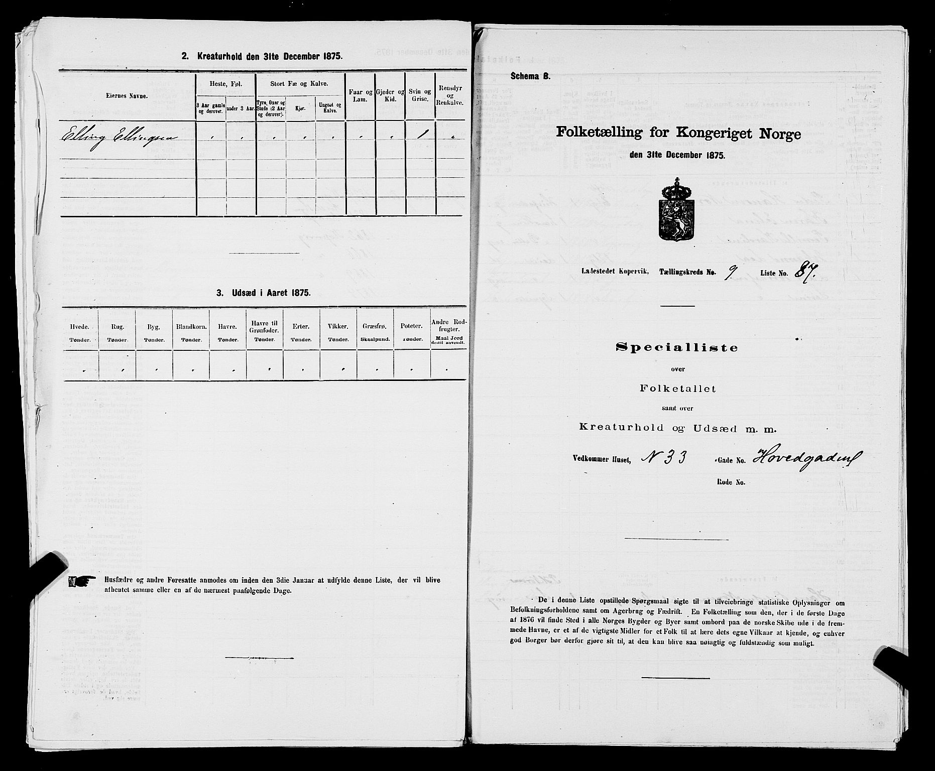 SAST, Folketelling 1875 for 1105B Avaldsnes prestegjeld, Kopervik ladested, 1875, s. 173