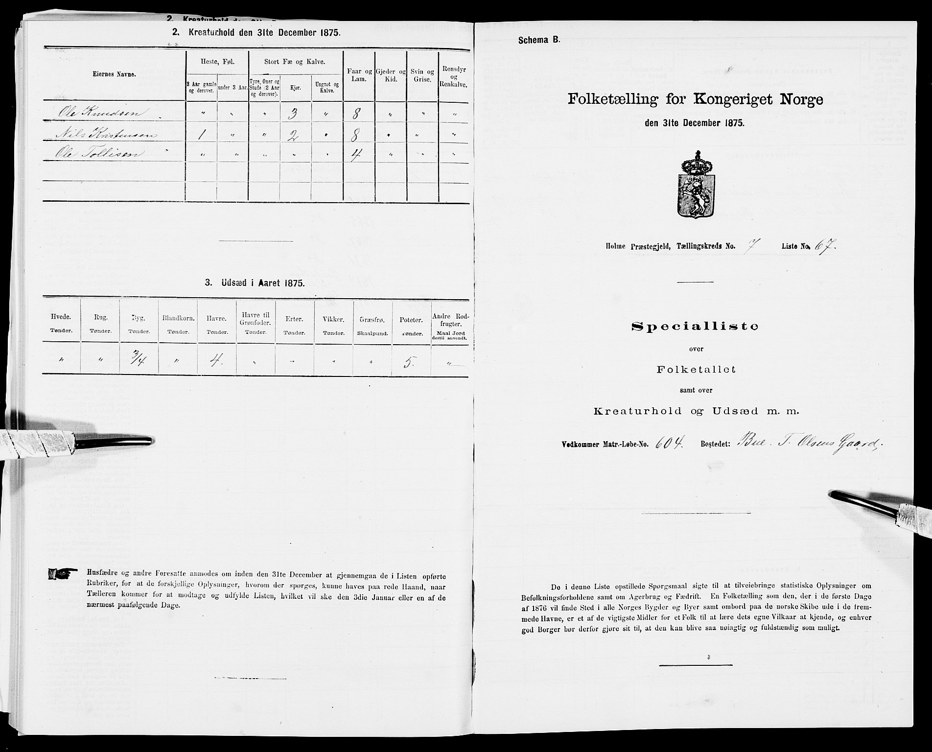 SAK, Folketelling 1875 for 1020P Holum prestegjeld, 1875, s. 864