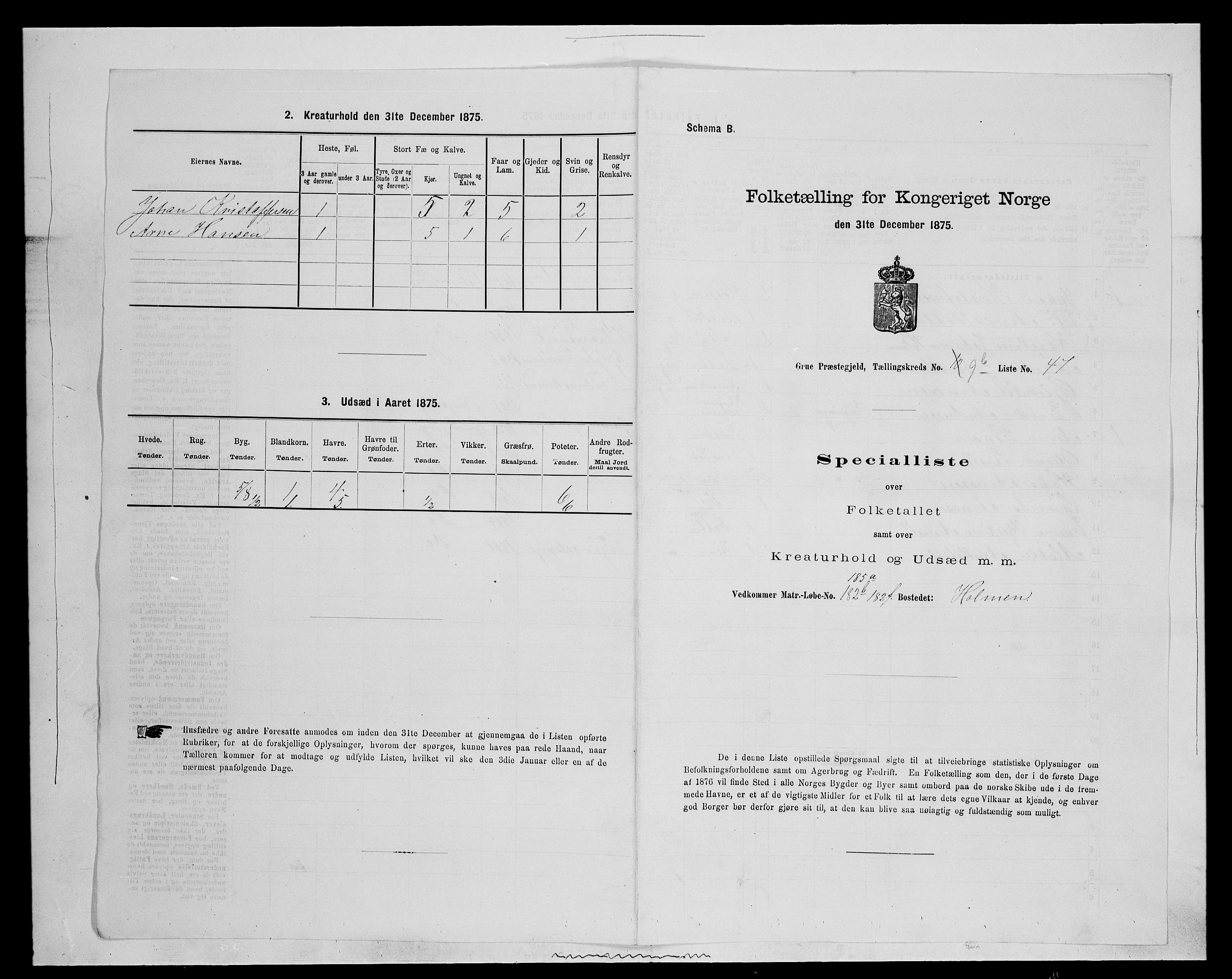 SAH, Folketelling 1875 for 0423P Grue prestegjeld, 1875, s. 1816