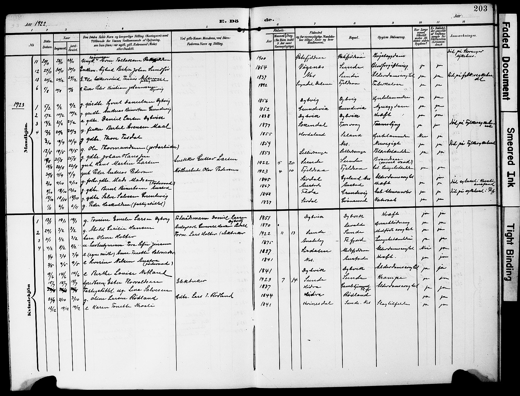 Flekkefjord sokneprestkontor, AV/SAK-1111-0012/F/Fb/Fbc/L0008: Klokkerbok nr. B 8, 1903-1931, s. 203