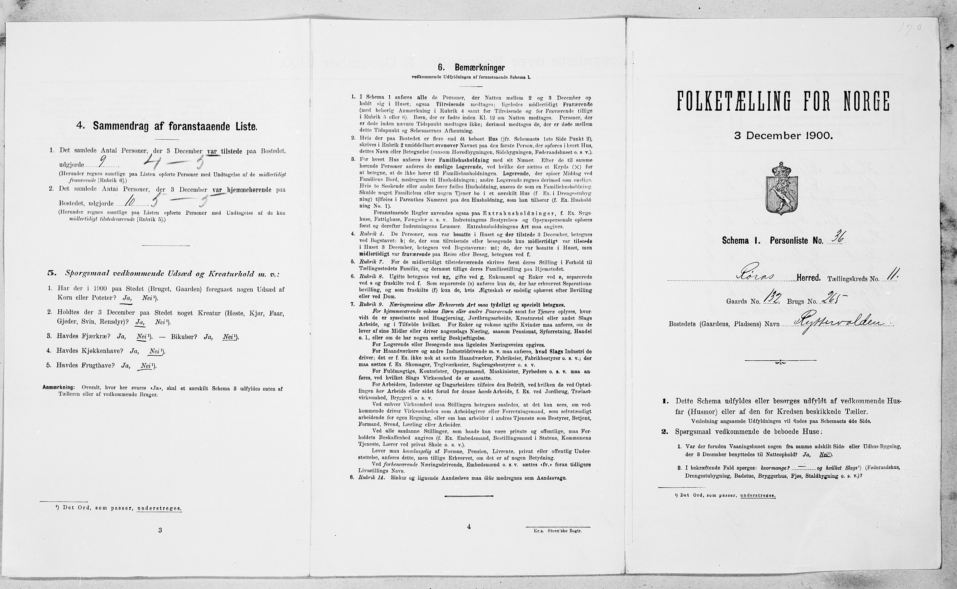 SAT, Folketelling 1900 for 1640 Røros herred, 1900, s. 1215