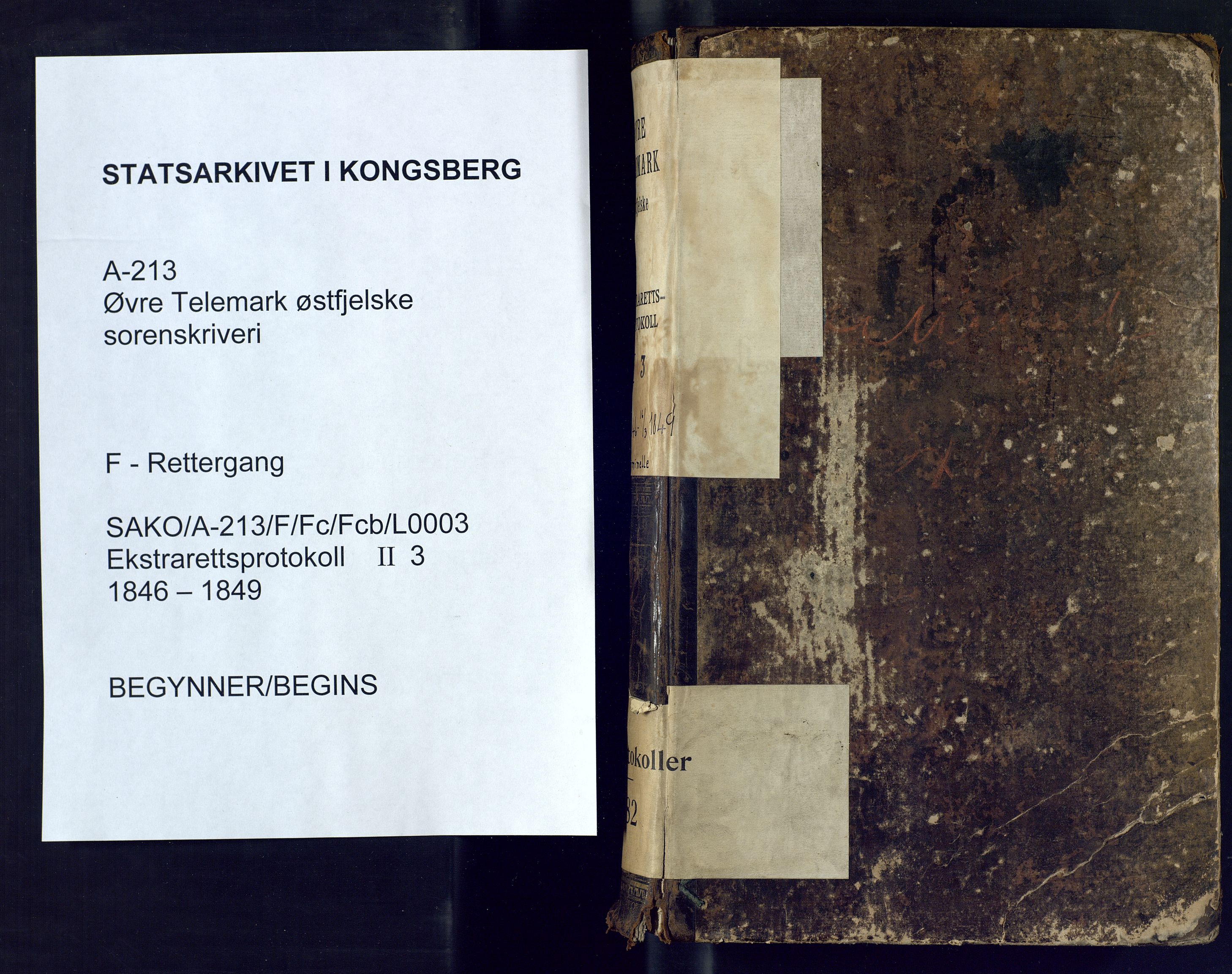 Øvre Telemark østfjelske sorenskriveri, SAKO/A-213/F/Fc/Fcb/L0003: Ekstrarettsprotokoll, straffesaker, 1846-1849
