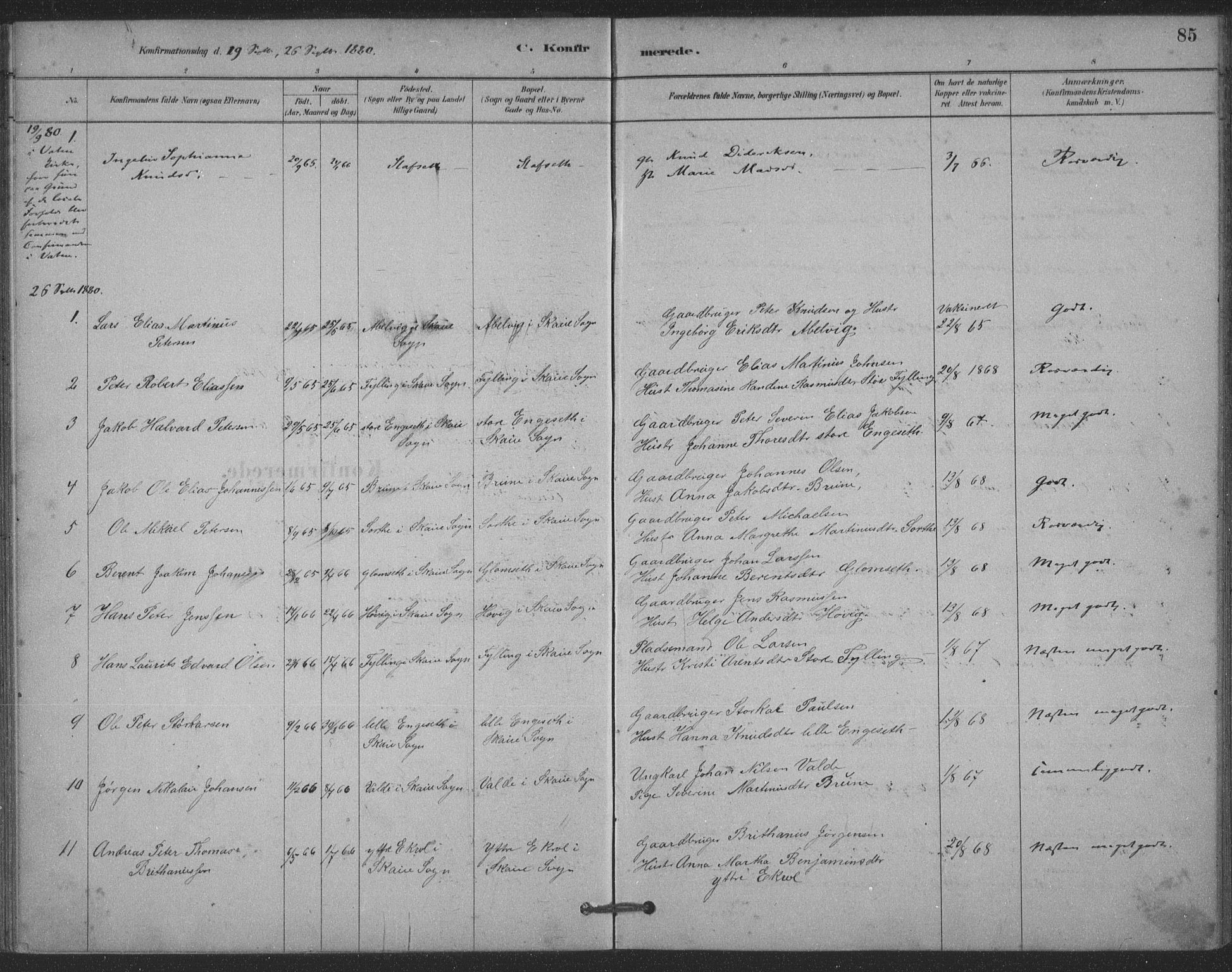 Ministerialprotokoller, klokkerbøker og fødselsregistre - Møre og Romsdal, AV/SAT-A-1454/524/L0356: Ministerialbok nr. 524A08, 1880-1899, s. 85