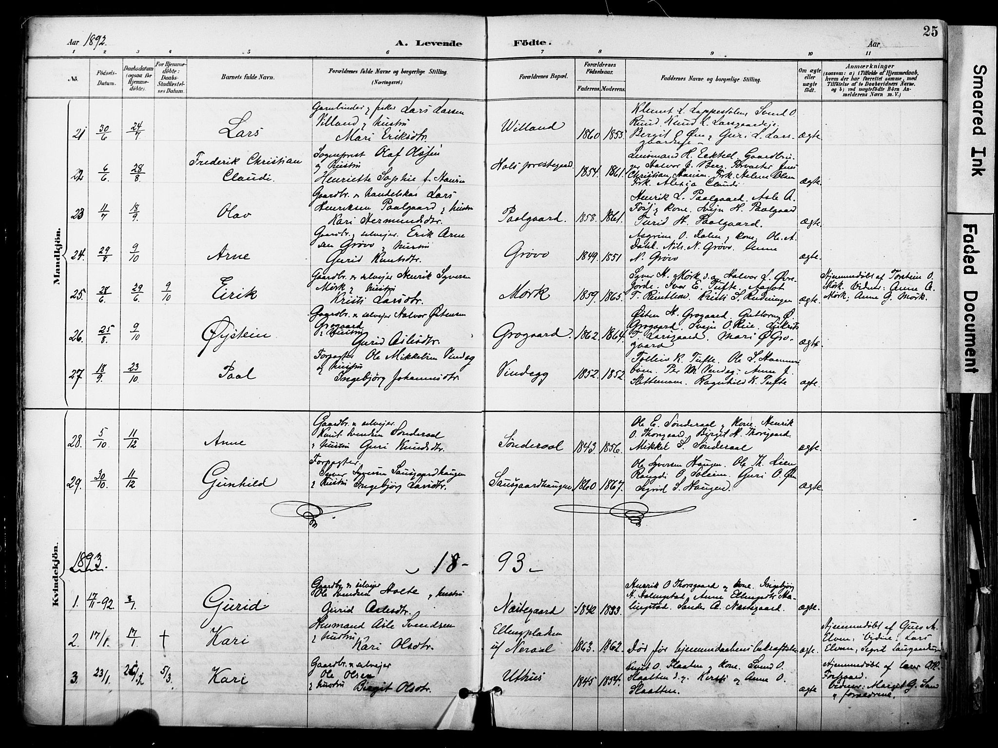 Hol kirkebøker, AV/SAKO-A-227/F/Fa/L0003: Ministerialbok nr. I 3, 1887-1918, s. 25
