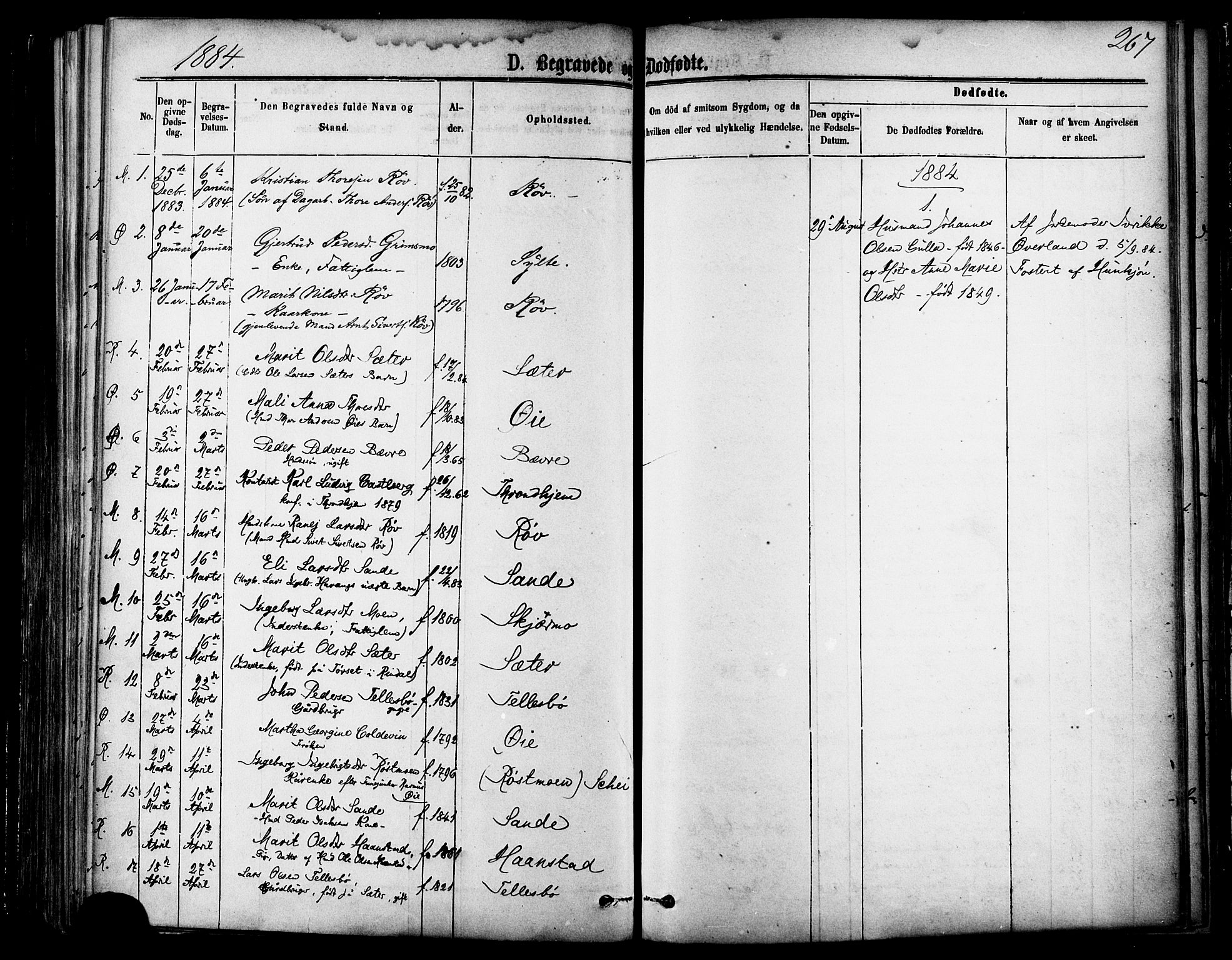 Ministerialprotokoller, klokkerbøker og fødselsregistre - Møre og Romsdal, AV/SAT-A-1454/595/L1046: Ministerialbok nr. 595A08, 1874-1884, s. 267