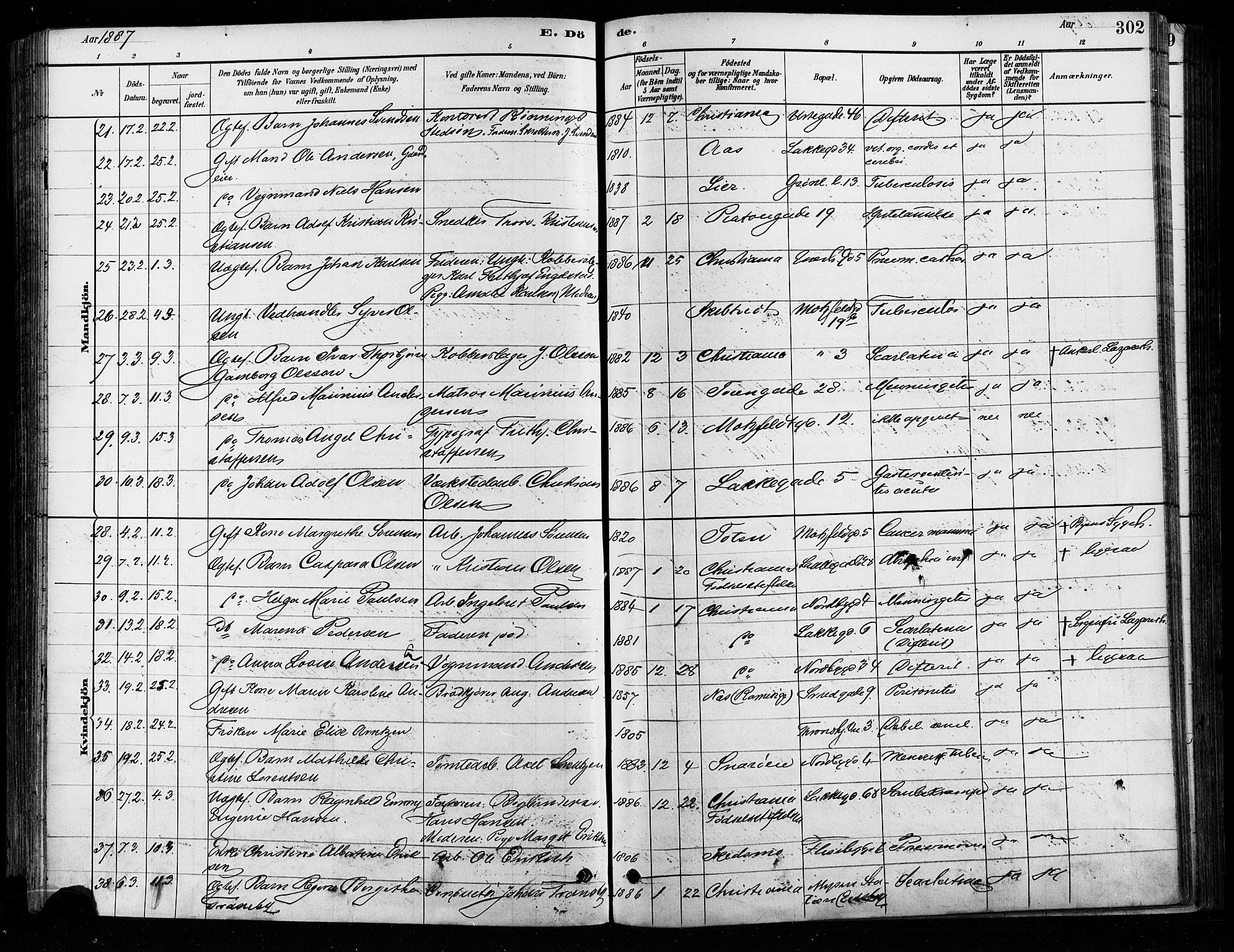 Grønland prestekontor Kirkebøker, AV/SAO-A-10848/F/Fa/L0008: Ministerialbok nr. 8, 1881-1893, s. 302