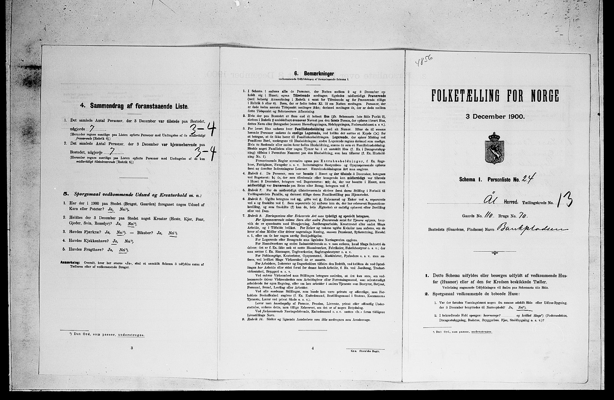 RA, Folketelling 1900 for 0619 Ål herred, 1900, s. 1048