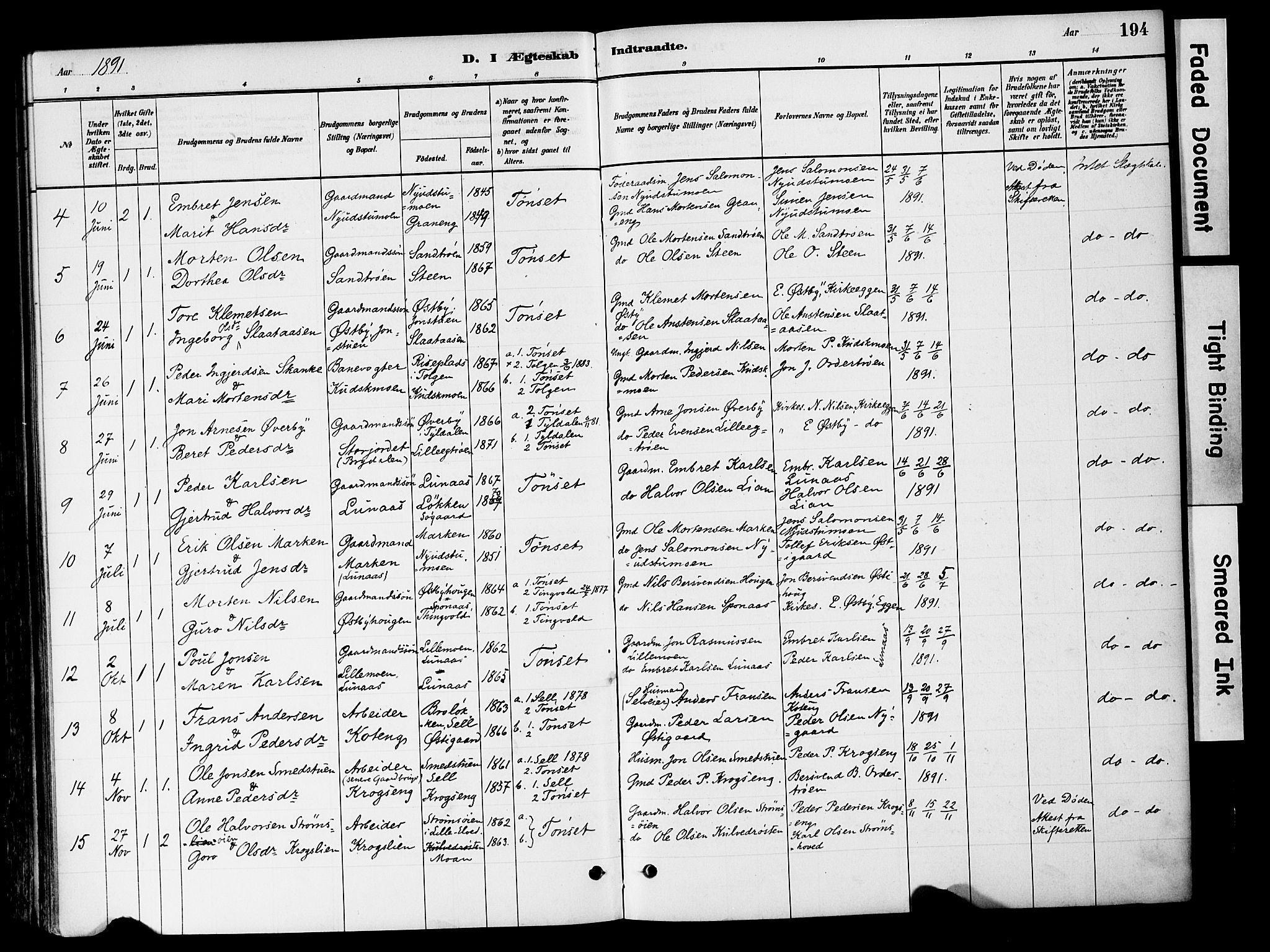 Tynset prestekontor, AV/SAH-PREST-058/H/Ha/Haa/L0022: Ministerialbok nr. 22, 1880-1899, s. 194
