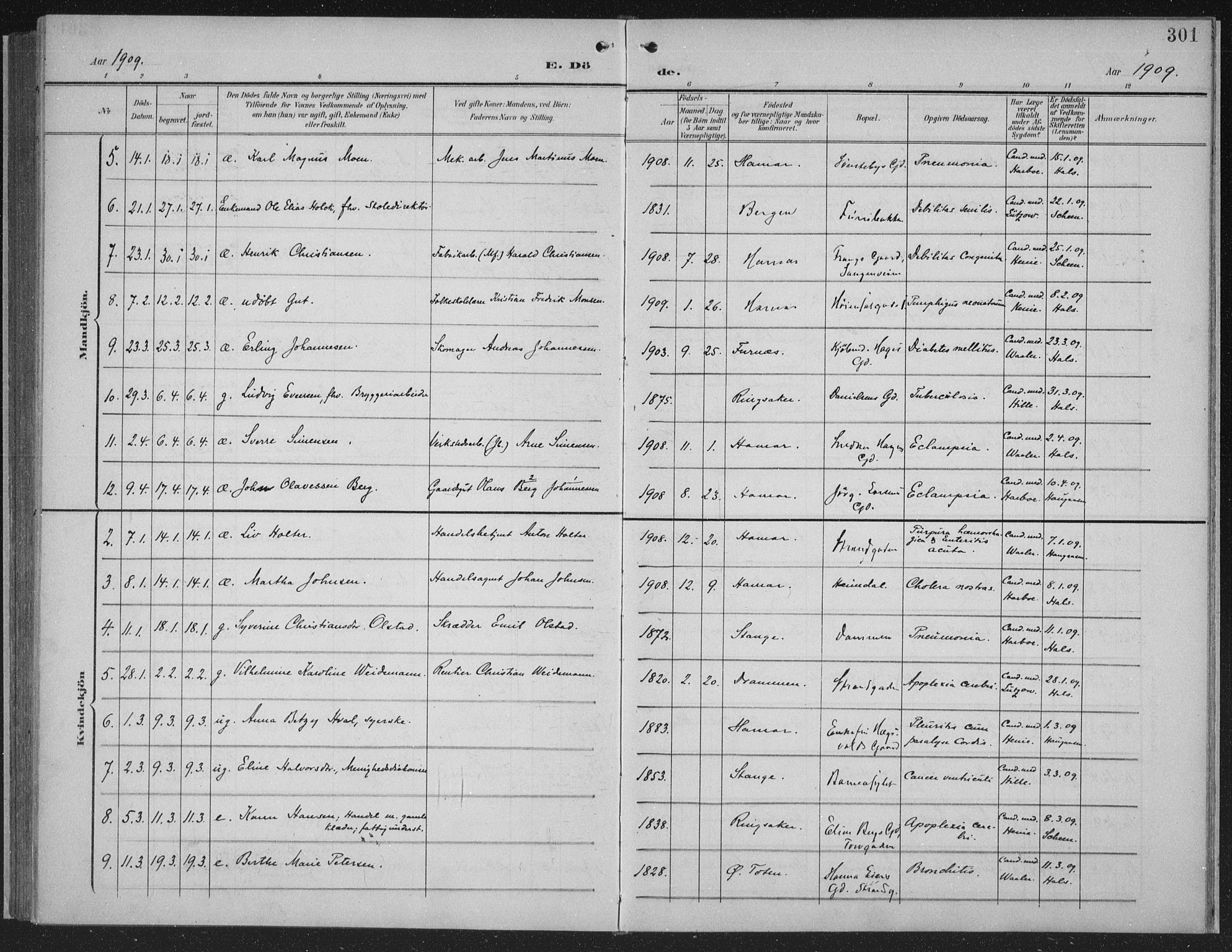 Hamar prestekontor, AV/SAH-DOMPH-002/H/Ha/Haa/L0001: Ministerialbok nr. 1, 1900-1914, s. 301