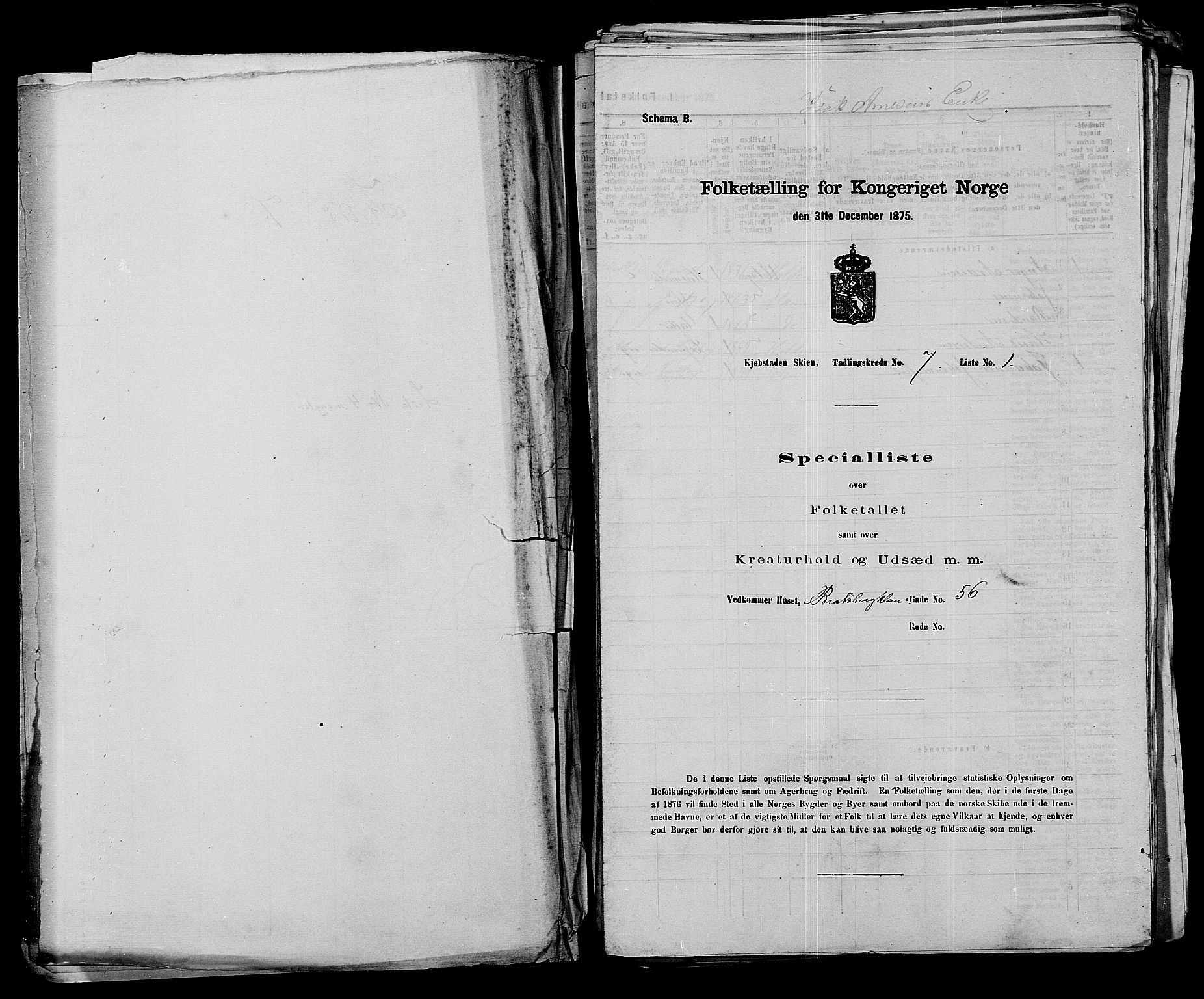 SAKO, Folketelling 1875 for 0806P Skien prestegjeld, 1875, s. 1039
