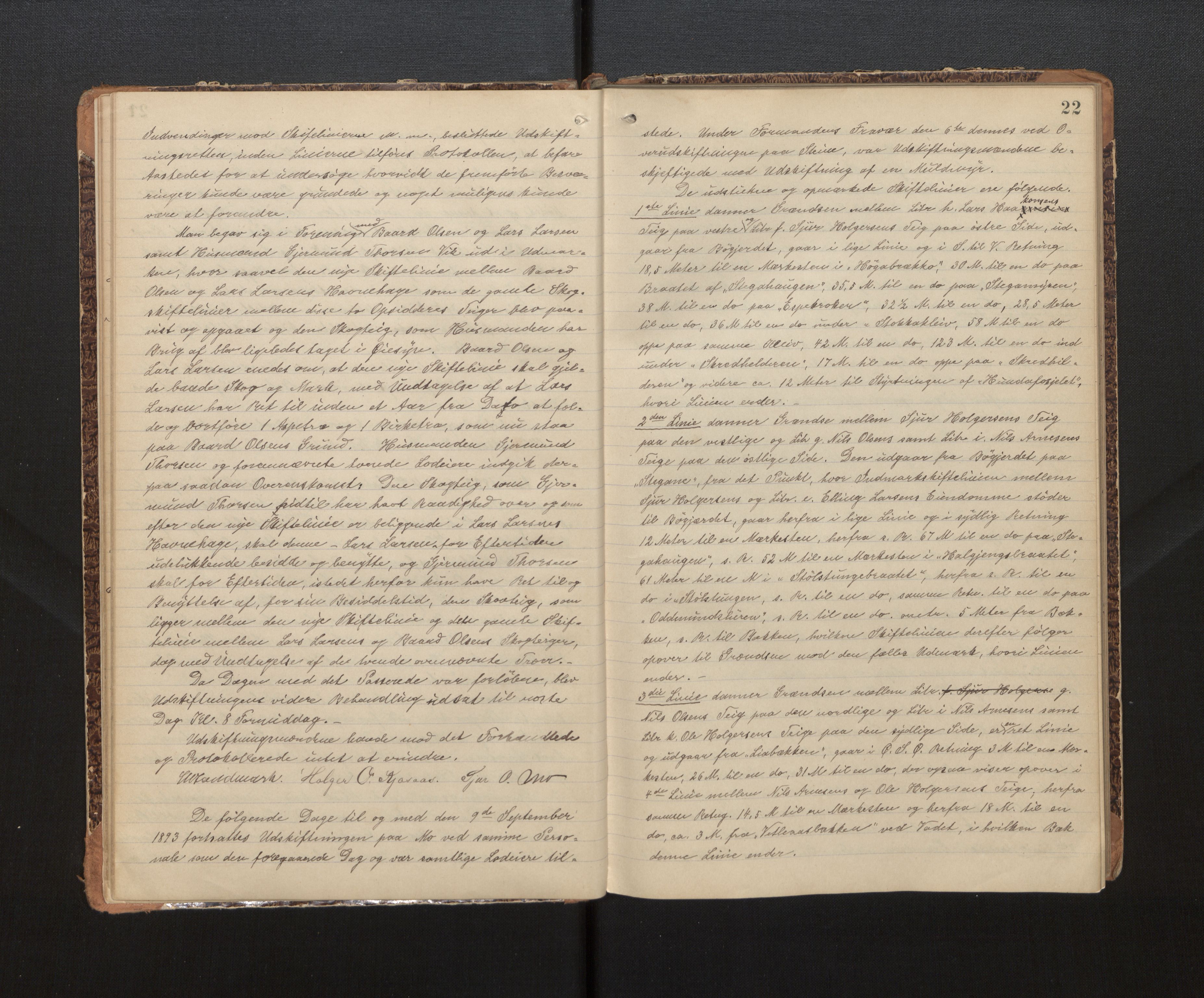 Hordaland jordskiftedøme - IV Hardanger jordskiftedistrikt, AV/SAB-A-7101/A/Aa/L0014: Forhandlingsprotokoll, 1892-1895, s. 21b-22a