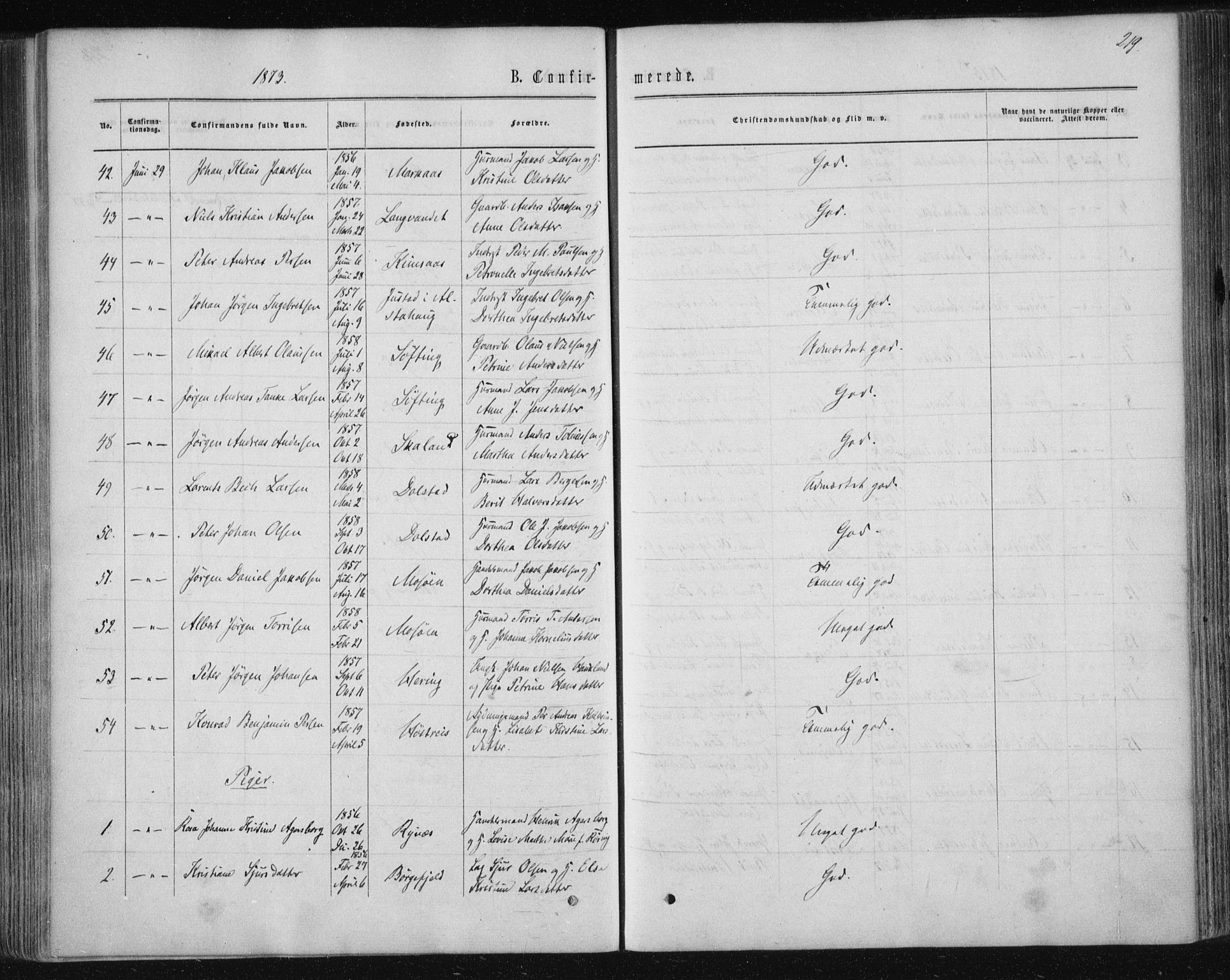 Ministerialprotokoller, klokkerbøker og fødselsregistre - Nordland, AV/SAT-A-1459/820/L0294: Ministerialbok nr. 820A15, 1866-1879, s. 219