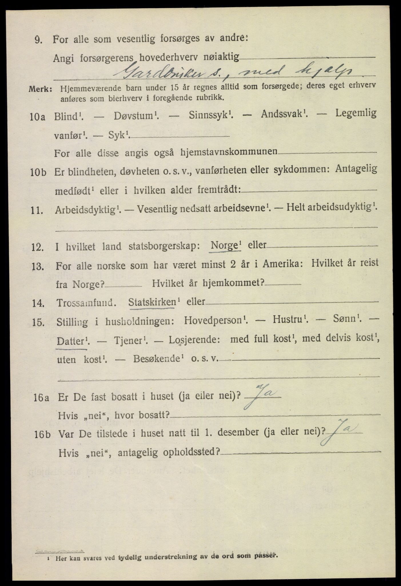 SAH, Folketelling 1920 for 0514 Lom herred, 1920, s. 4769