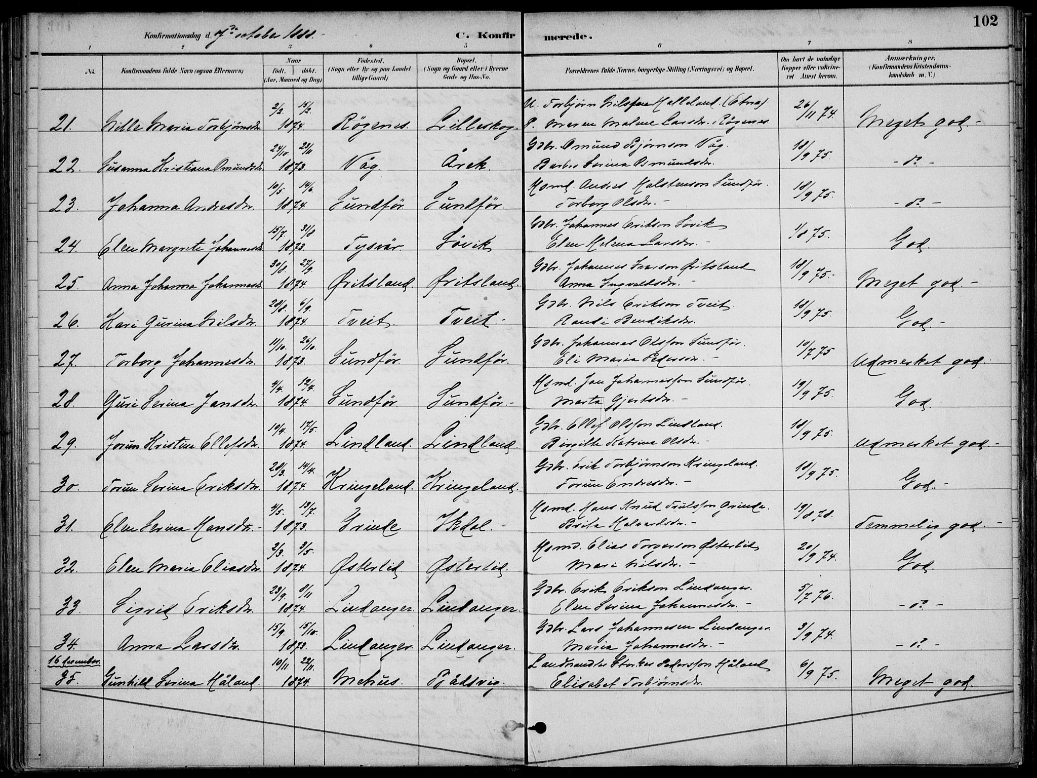 Skjold sokneprestkontor, AV/SAST-A-101847/H/Ha/Haa/L0010: Ministerialbok nr. A 10, 1882-1897, s. 102