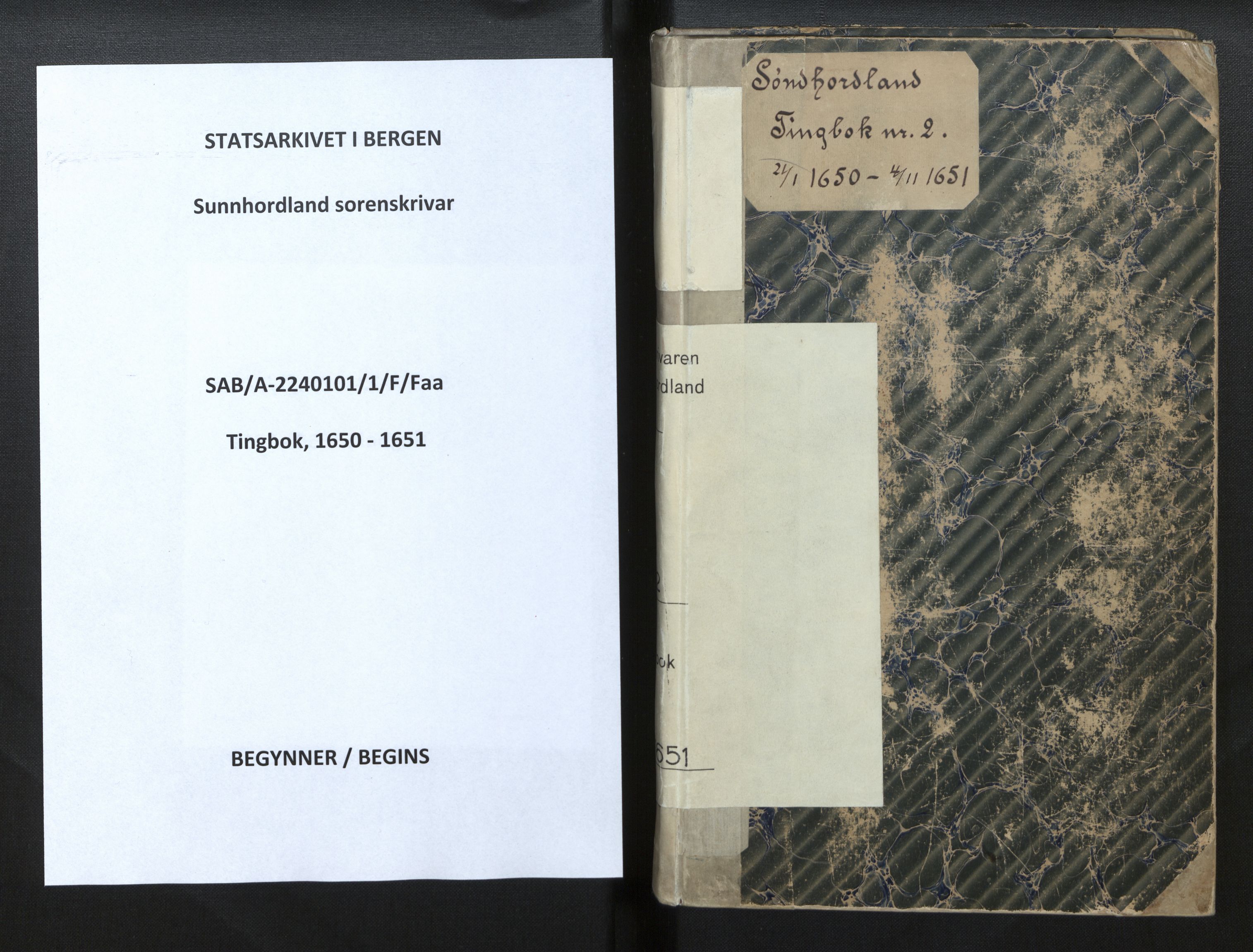 Sunnhordland sorenskrivar, SAB/A-2401/1/F/Faa/L0002: Tingbøker, 1650-1651