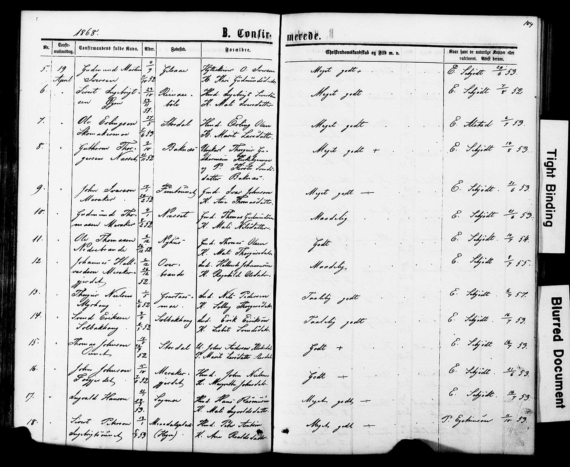 Ministerialprotokoller, klokkerbøker og fødselsregistre - Nord-Trøndelag, AV/SAT-A-1458/706/L0049: Klokkerbok nr. 706C01, 1864-1895, s. 104
