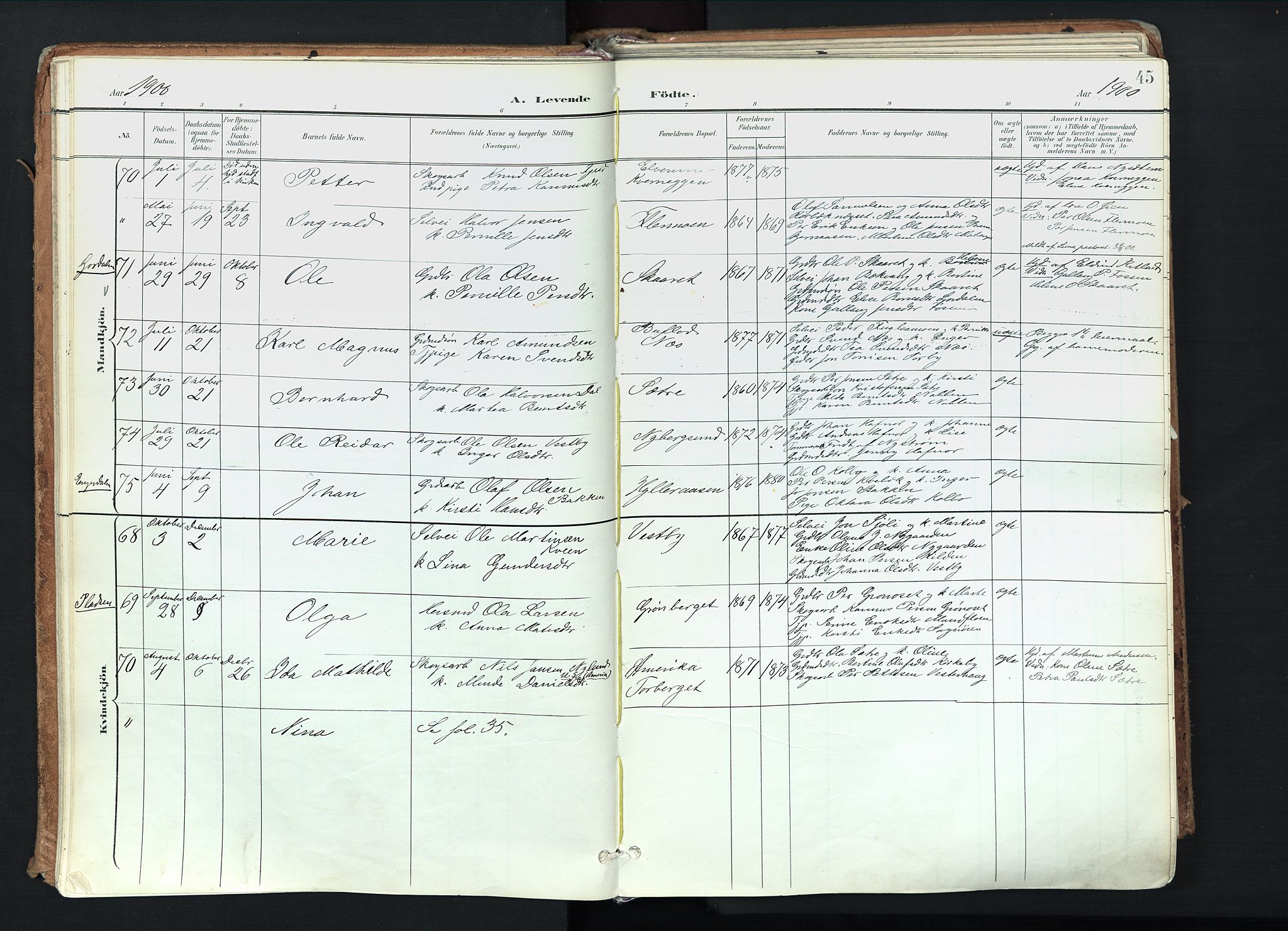 Trysil prestekontor, AV/SAH-PREST-046/H/Ha/Haa/L0012: Ministerialbok nr. 12, 1898-1917, s. 45