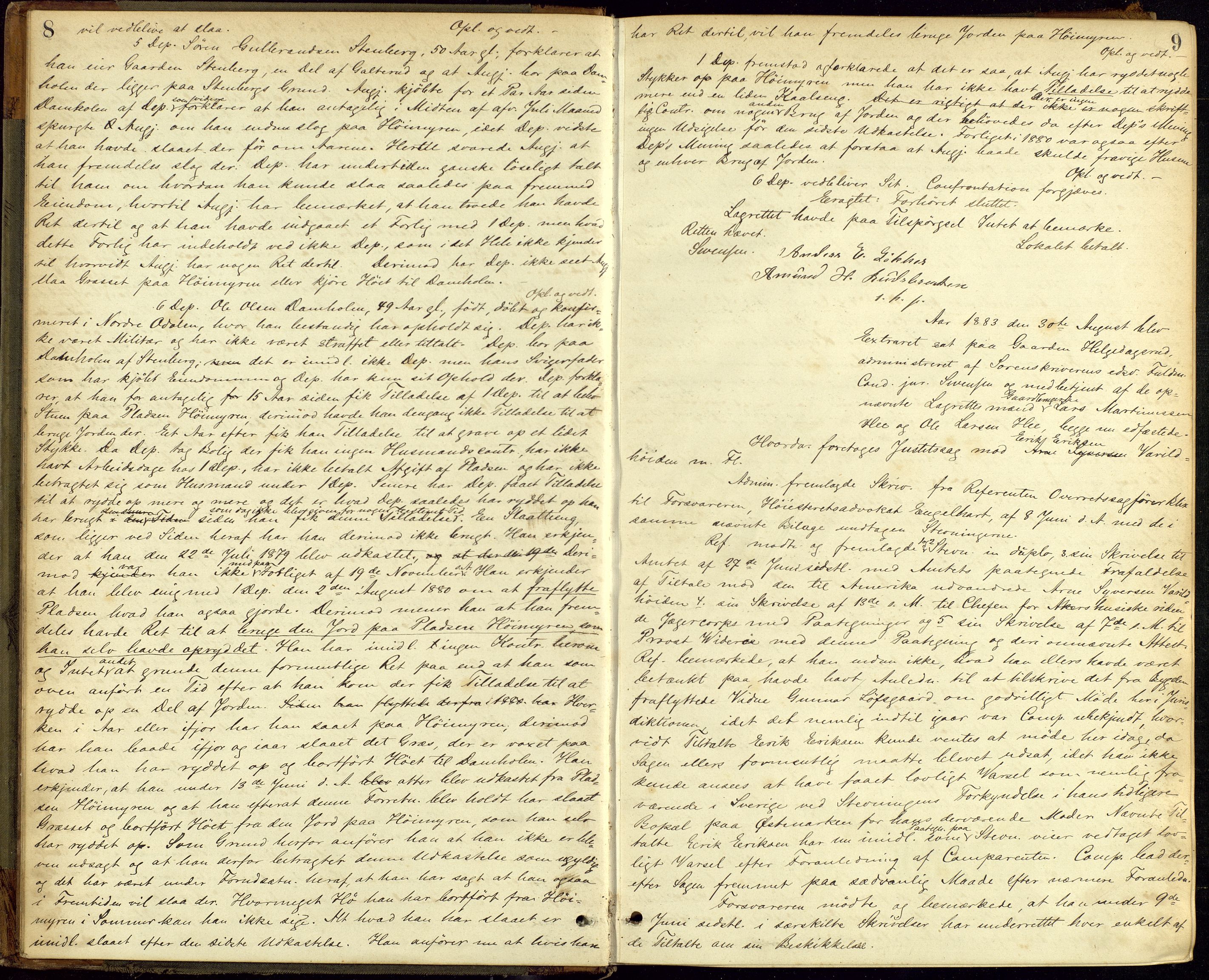 Vinger og Odal sorenskriveri, AV/SAH-TING-022/G/Gc/Gca/L0011: Ekstrarettsprotokoll - Odal, 1883-1893, s. 8b-9a