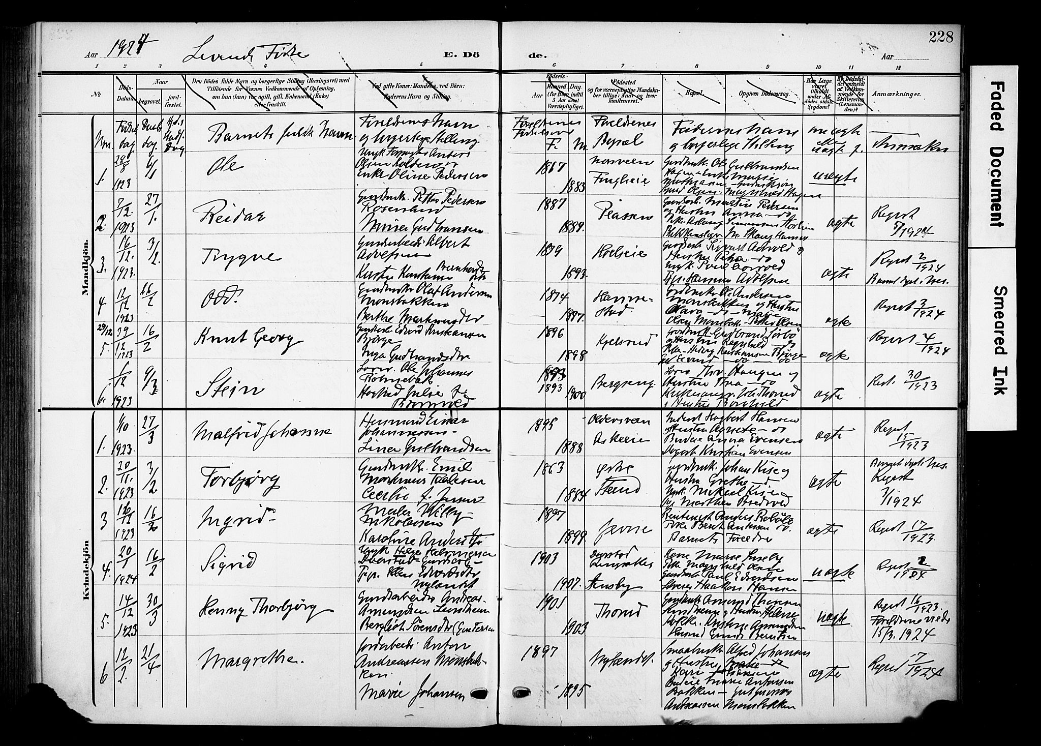 Nes prestekontor, Hedmark, AV/SAH-PREST-020/K/Ka/L0013: Ministerialbok nr. 13, 1906-1924, s. 228