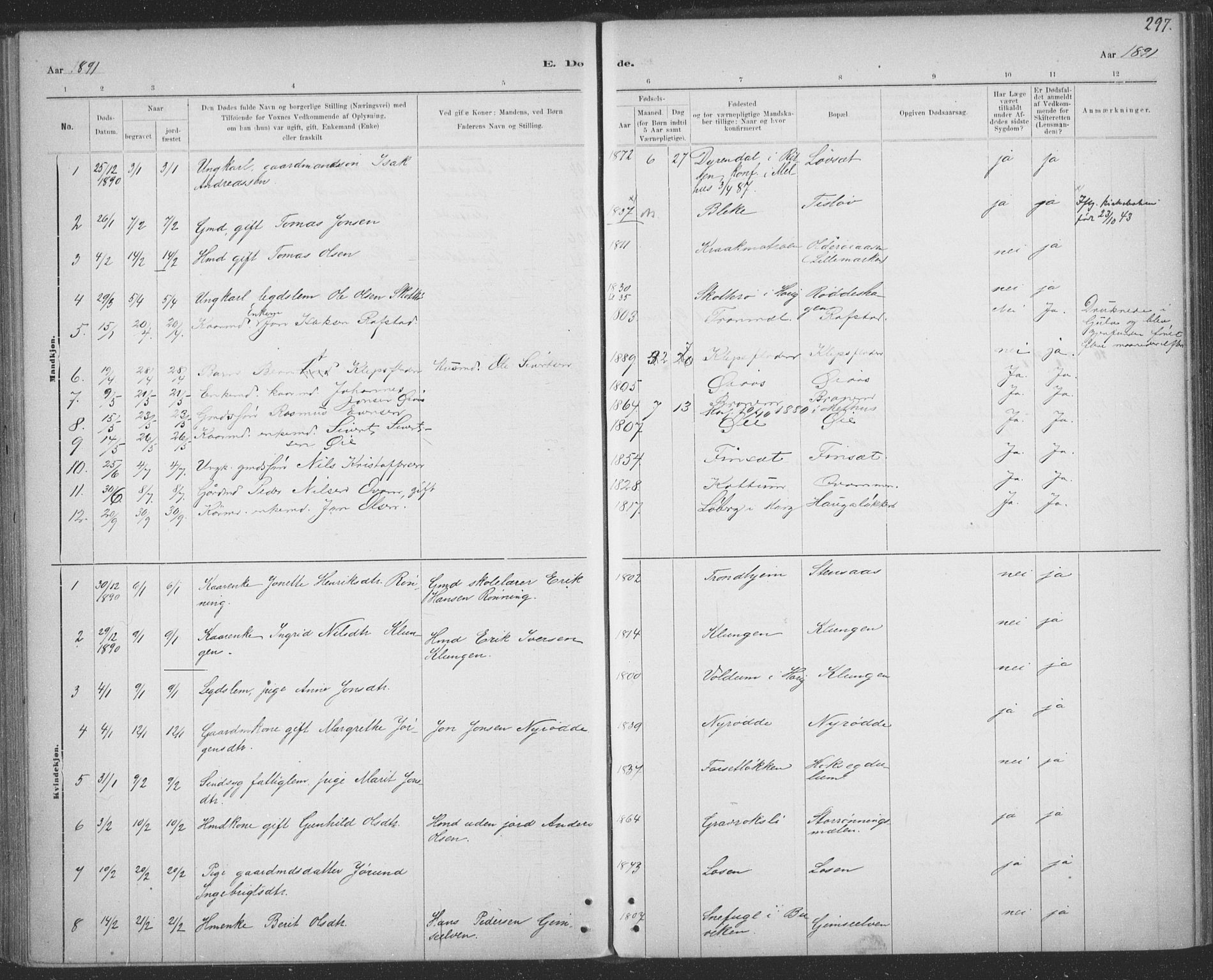Ministerialprotokoller, klokkerbøker og fødselsregistre - Sør-Trøndelag, SAT/A-1456/691/L1085: Ministerialbok nr. 691A17, 1887-1908, s. 297