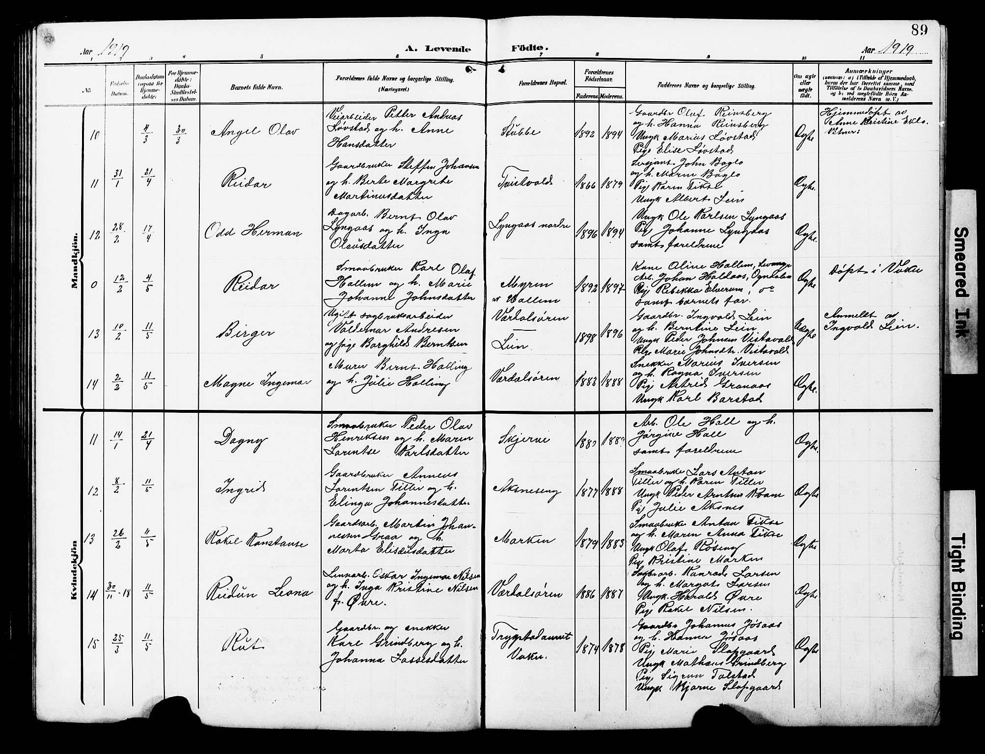 Ministerialprotokoller, klokkerbøker og fødselsregistre - Nord-Trøndelag, AV/SAT-A-1458/723/L0258: Klokkerbok nr. 723C06, 1908-1927, s. 89